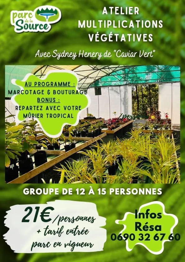 11- Atelier multiplications Végétales