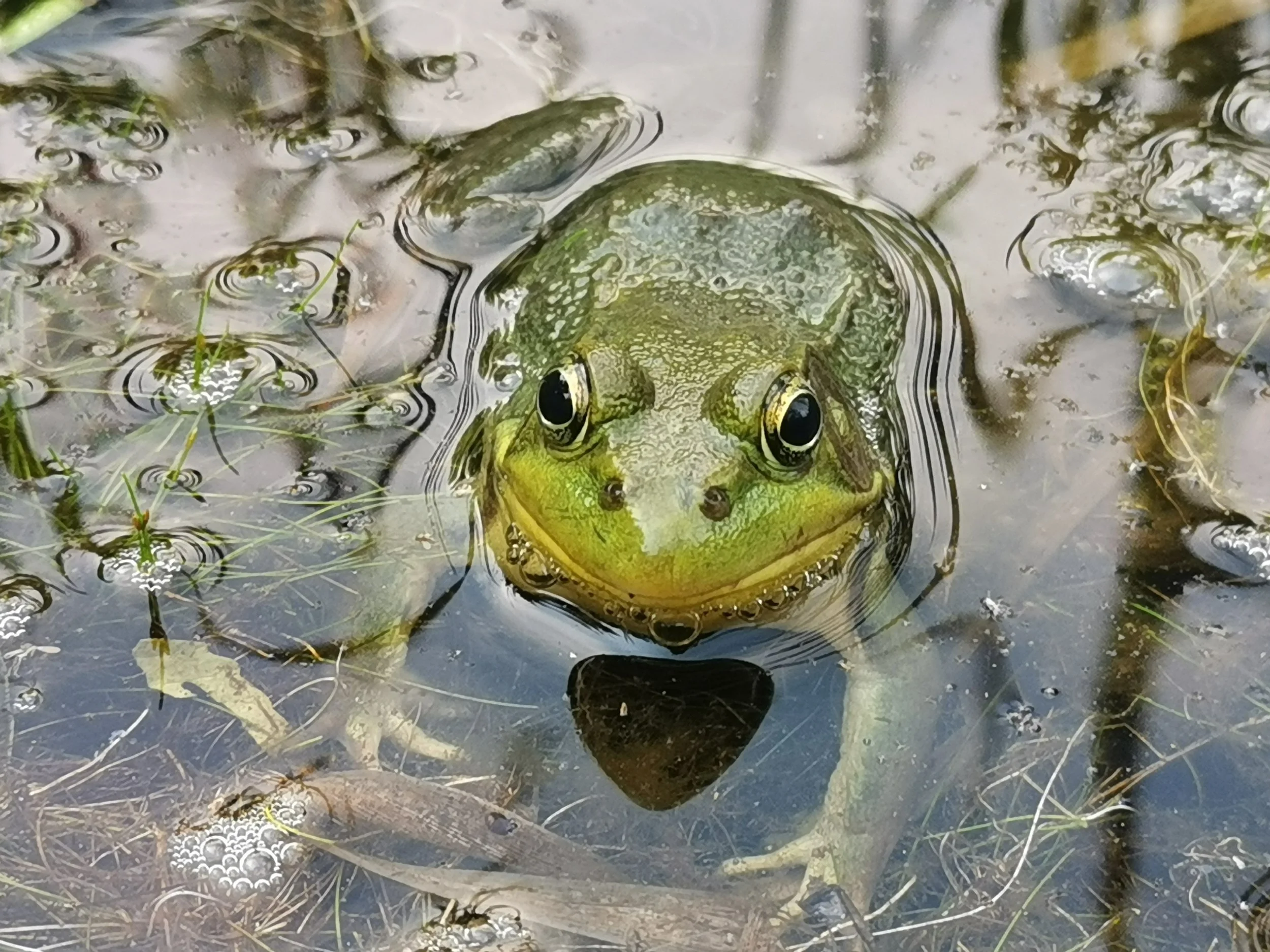 Five Organizations Worth Knowing This Earth Day