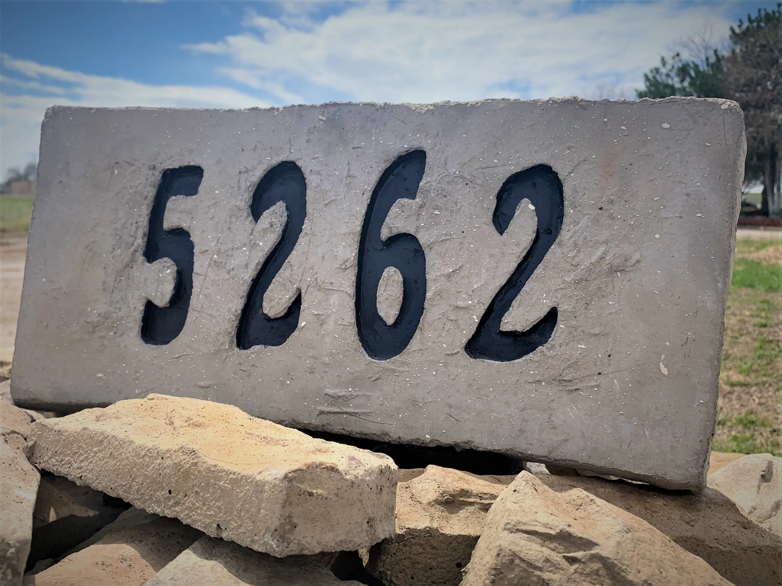 Number Signs