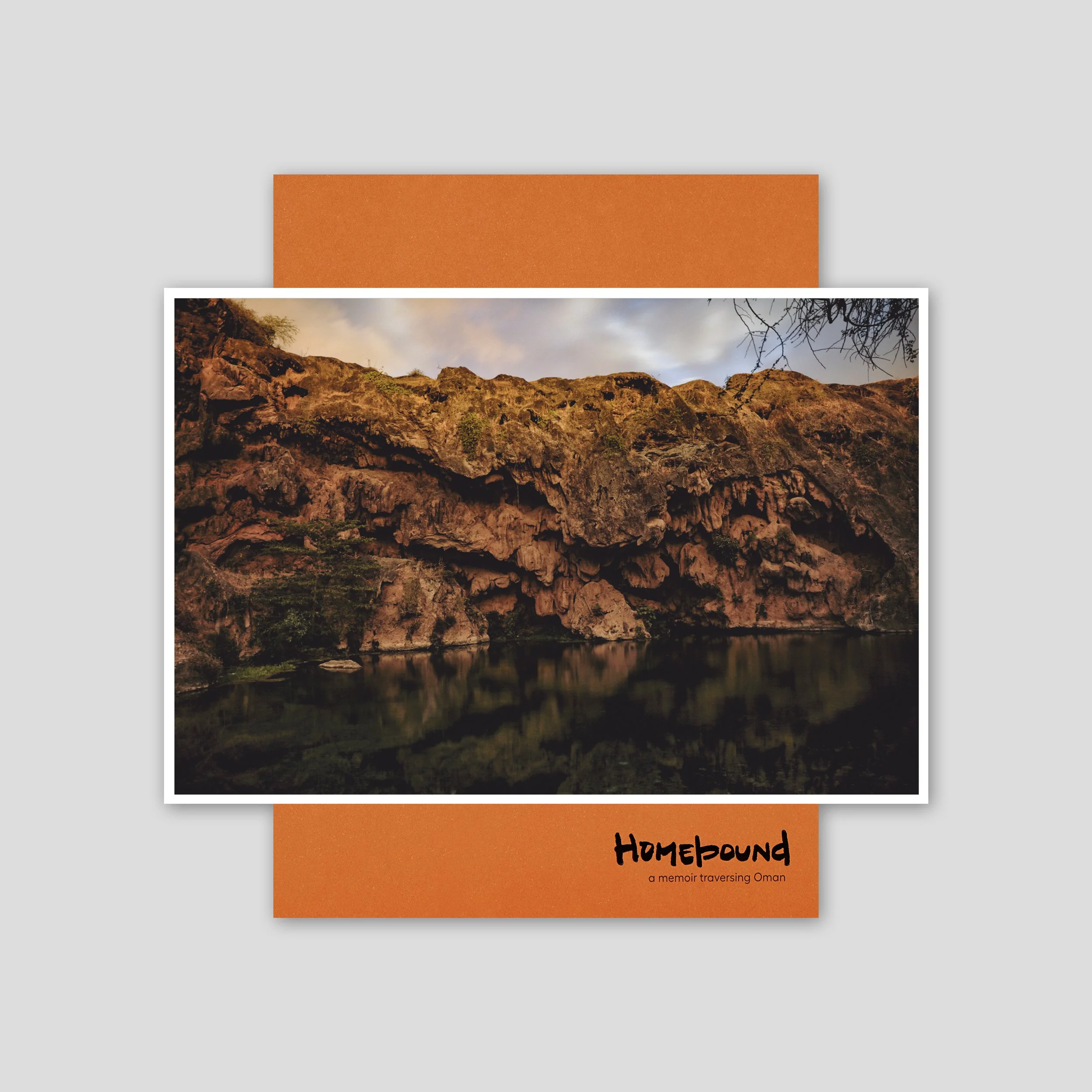 Homebound - Wadi under Moonlight.jpg