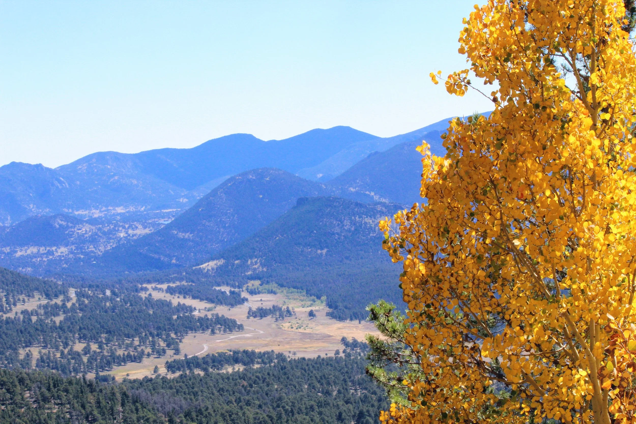 Rocky Mountain 