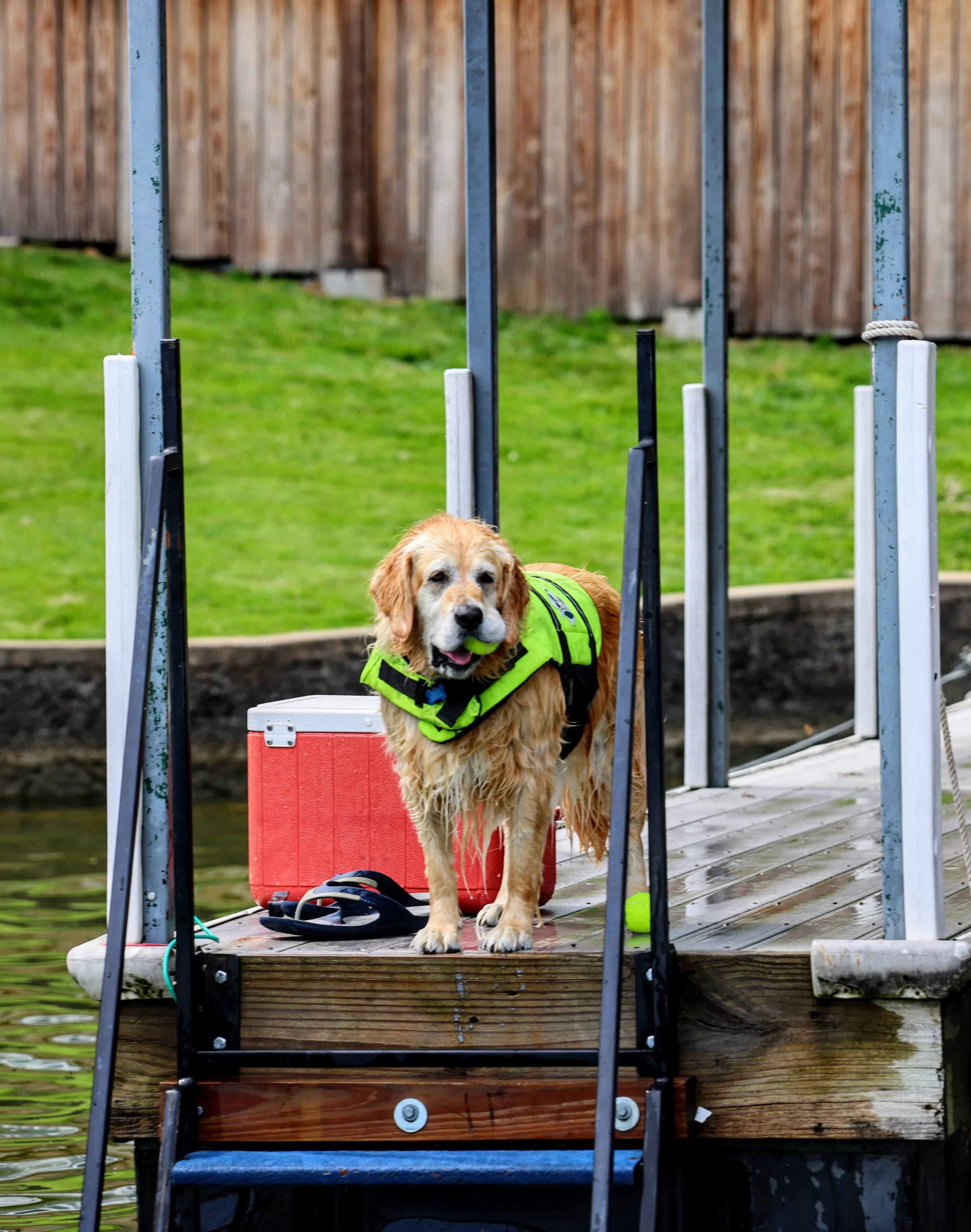 Fun in the Water