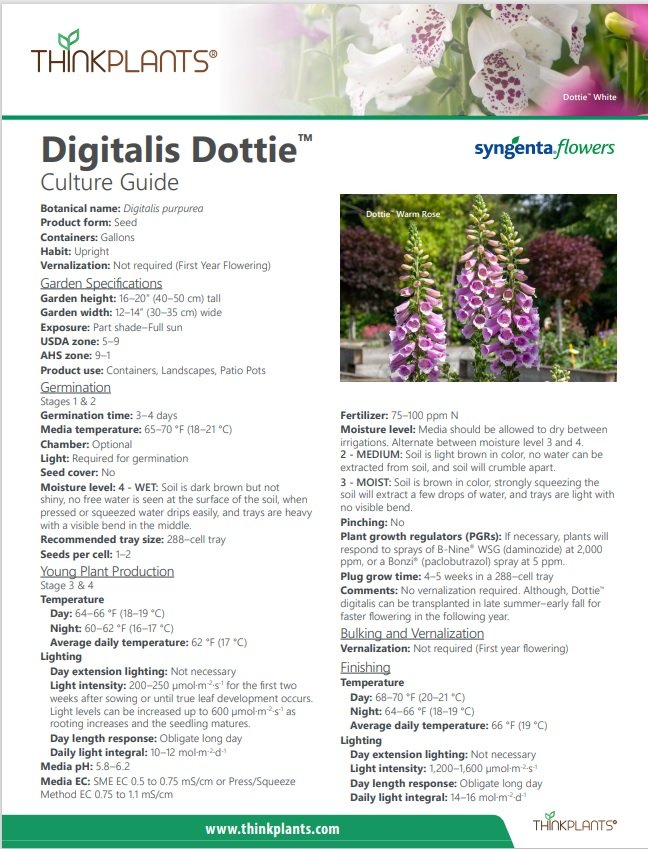 Digitalis  Dottie™