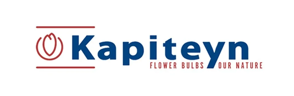 Kapiteyn
