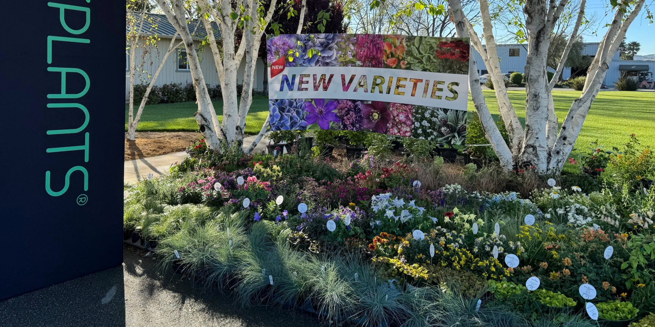 tp+CAST+display+%282%29.png