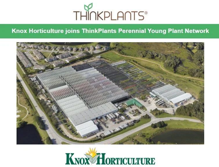 Knox Horticulture joins ThinkPlants