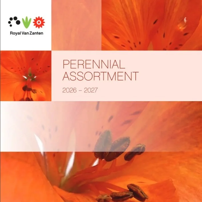 RVZ Perennial Assortment 2026-2027-Comparison Chart inside!
