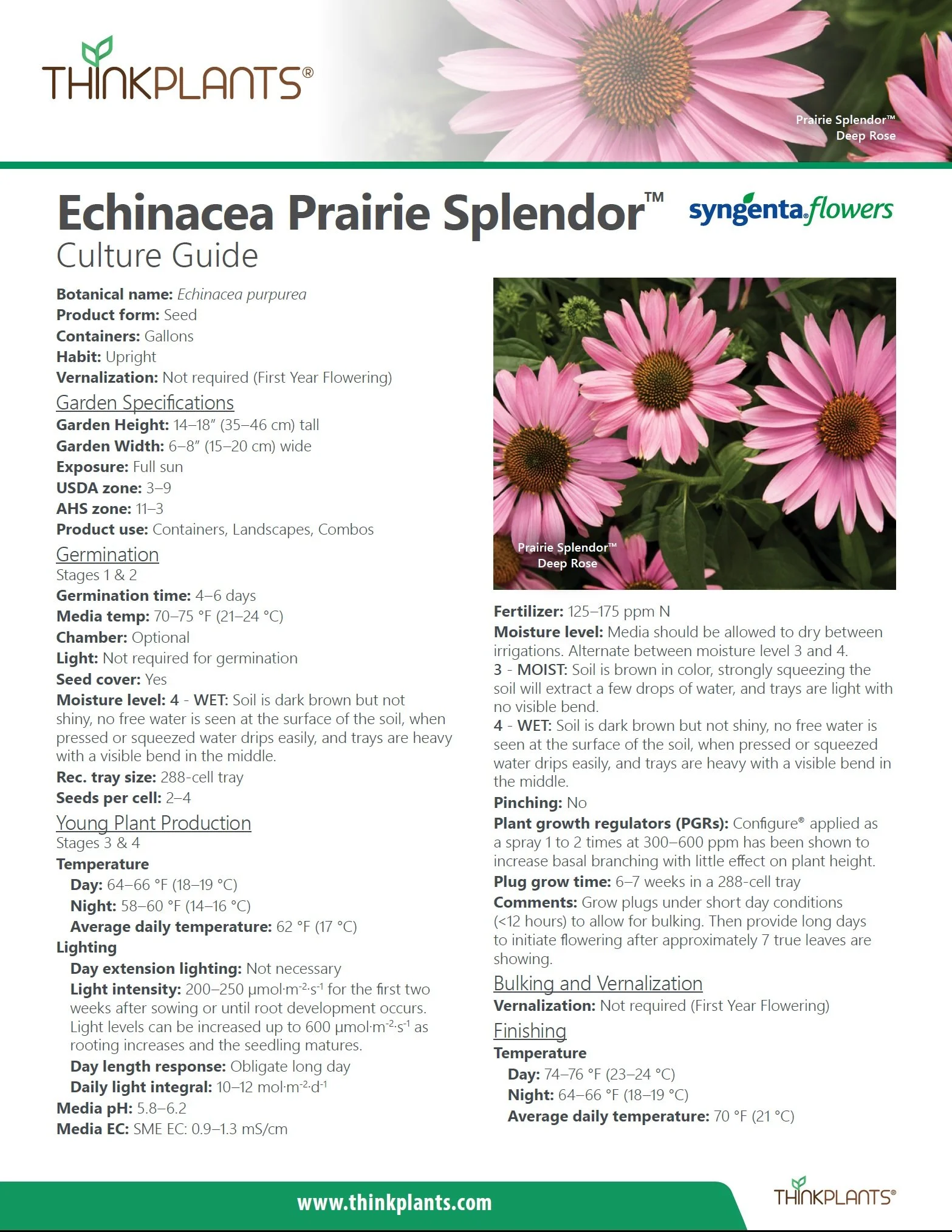 Echinacea Prairie Splendor™