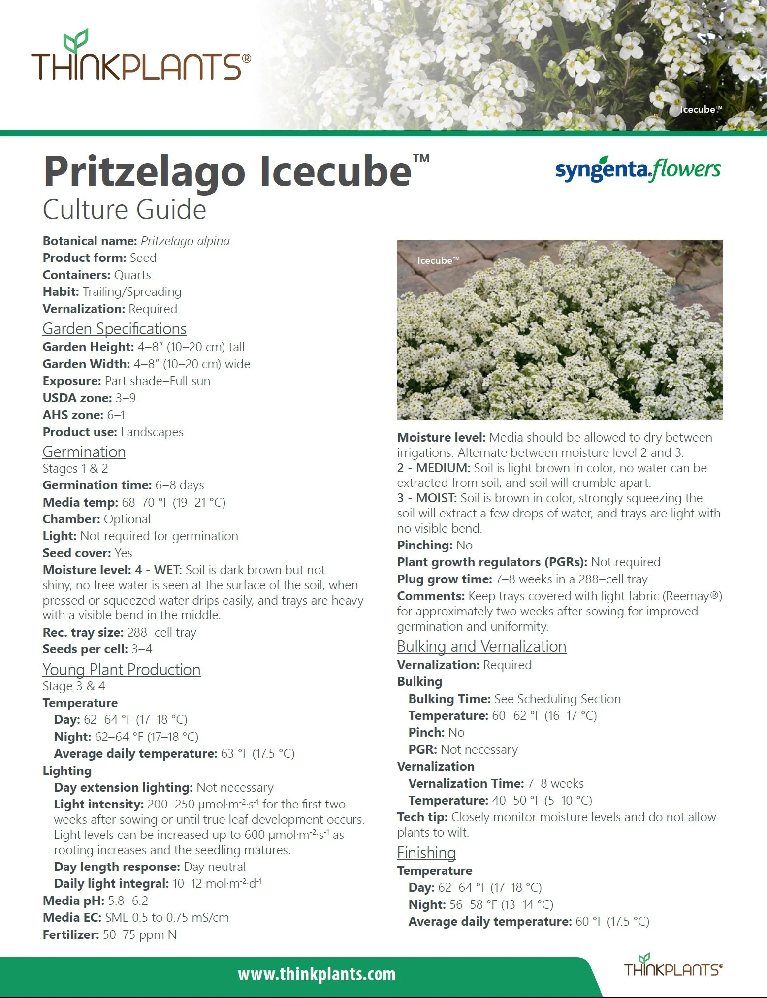 Pritzlago Icecube 2023.jpg