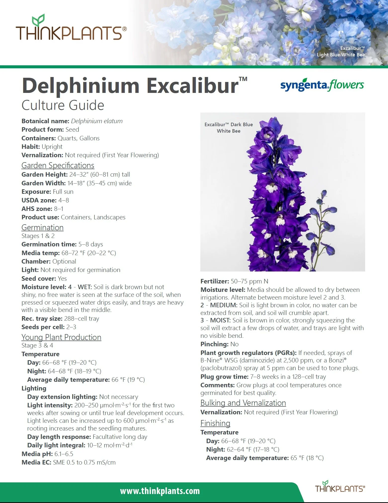 Delphinium Excalibur™