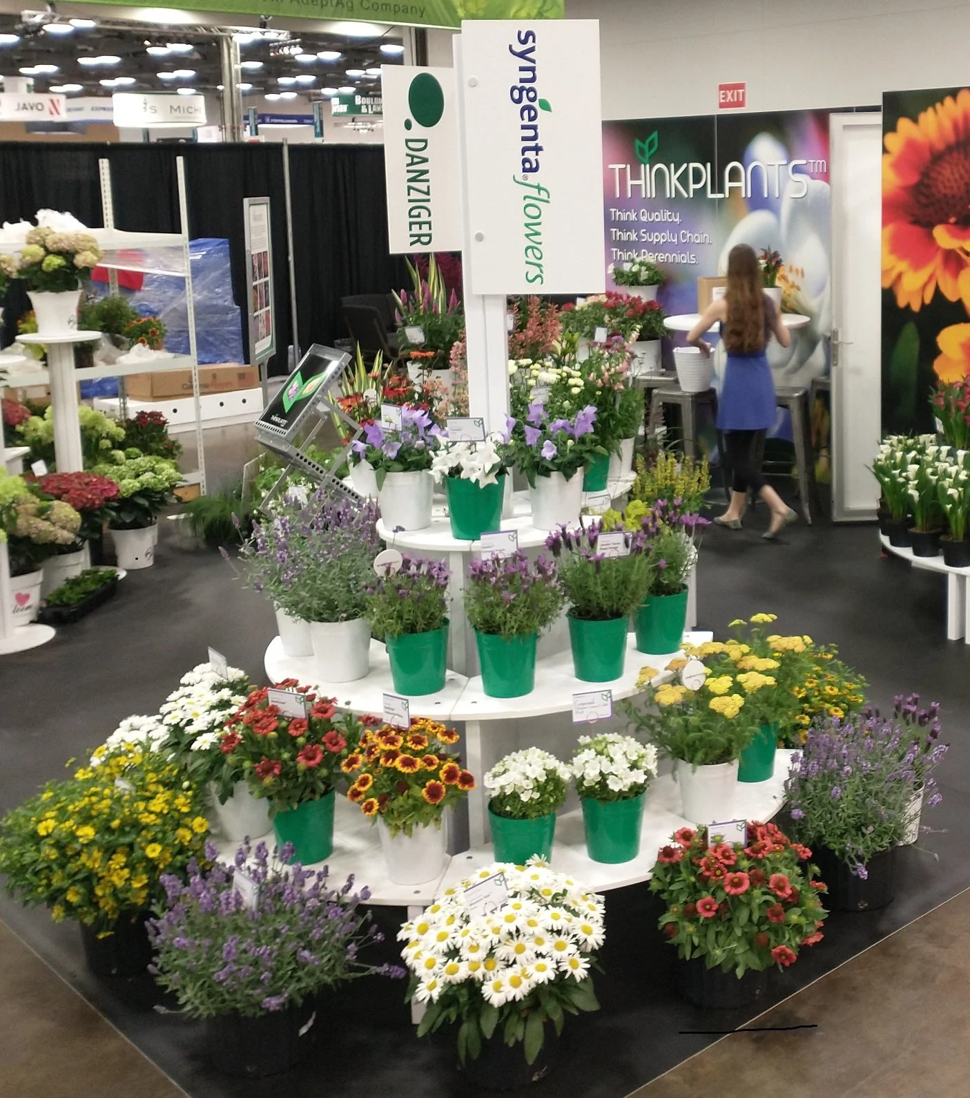 Syngenta Perennials-Cultivate '22