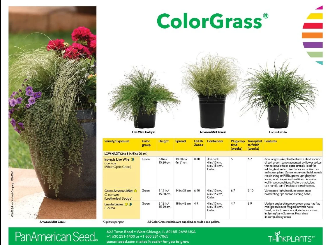ColorGrass® Schedule Comparison