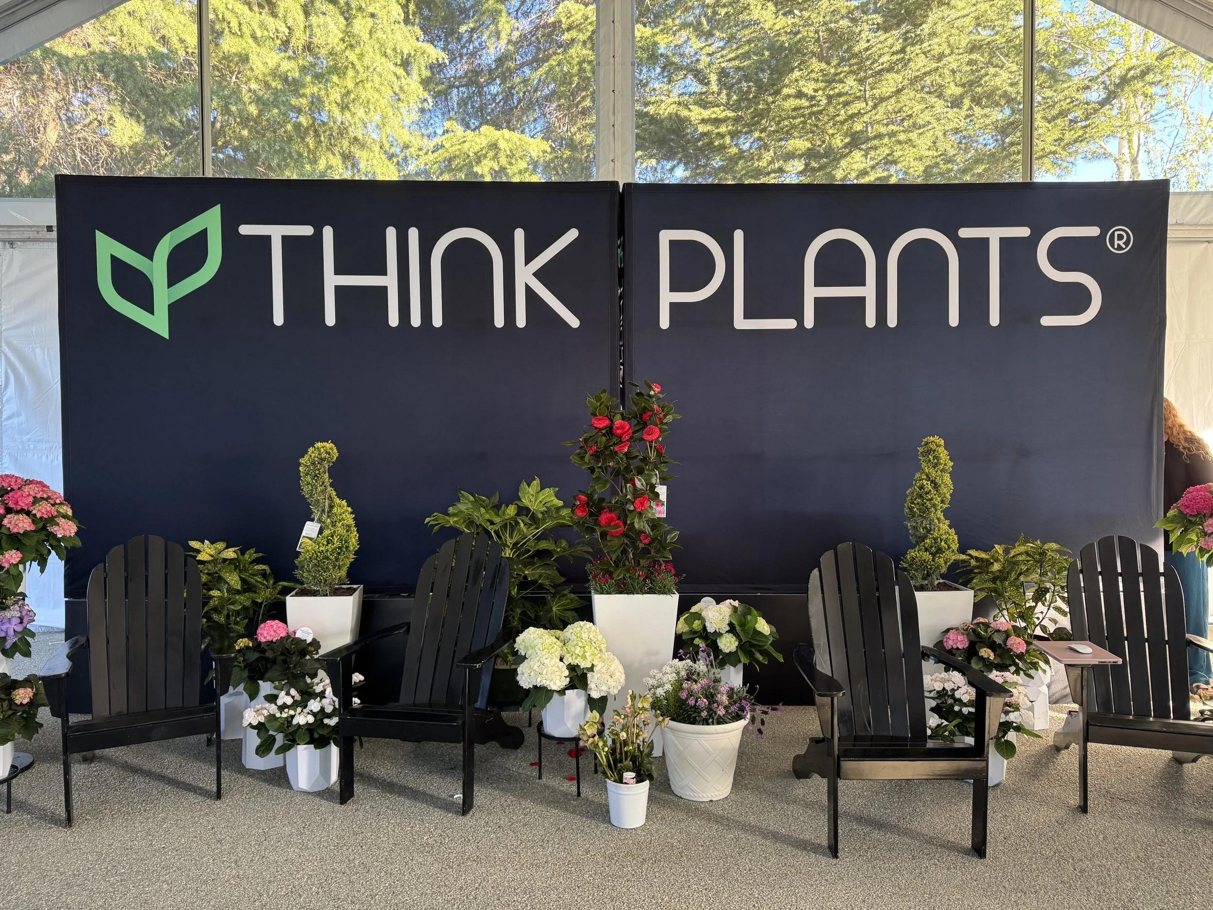 tp CAST display (11).JPG