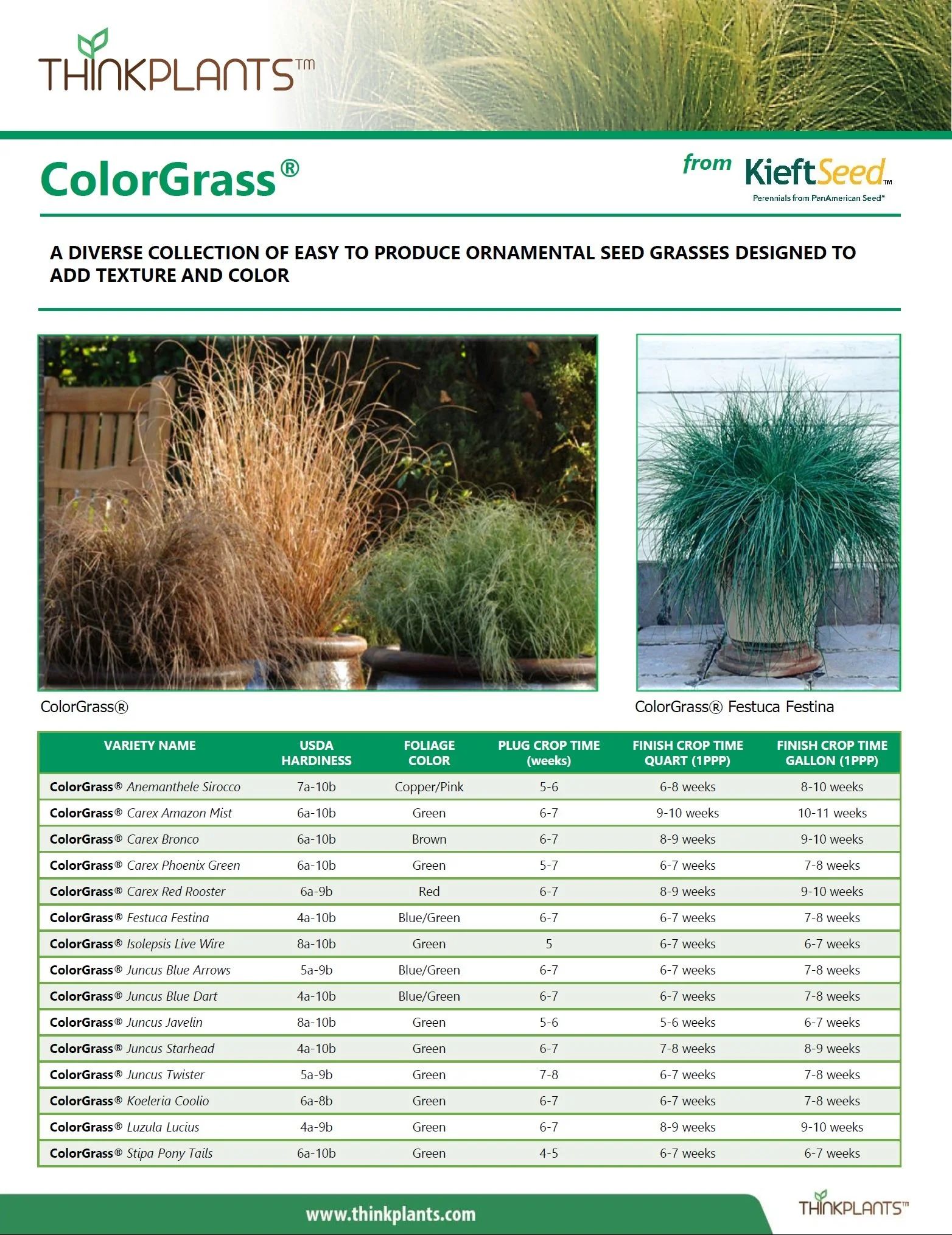 ColorGrass® Collection
