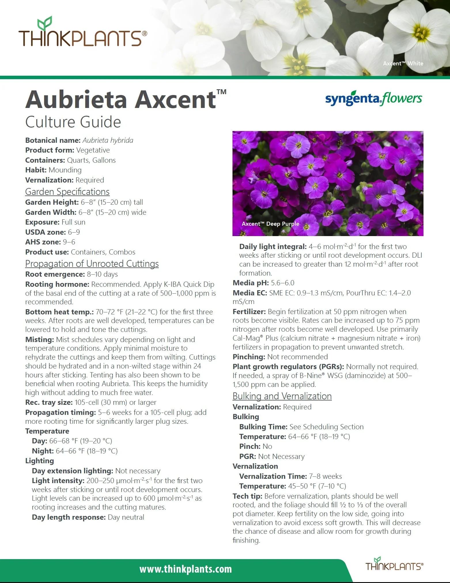 Audrey Axcent™