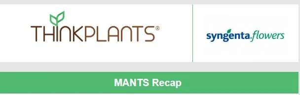 MANTS Recap and Calla Opportunity