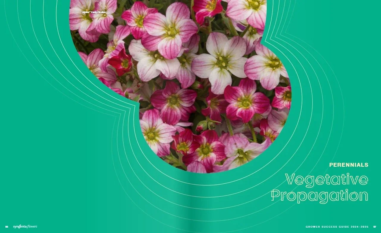Syngenta Flowers-Grower Success Guide