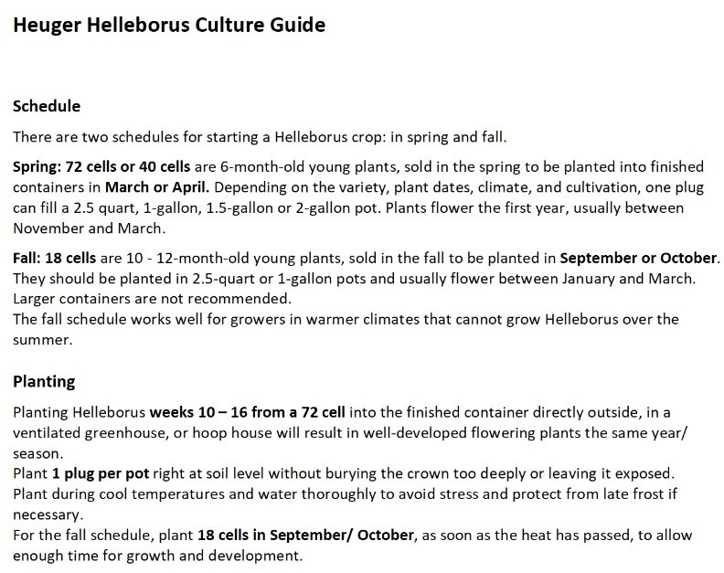 Heuger Helleborus Culture Guide snapshot.jpg