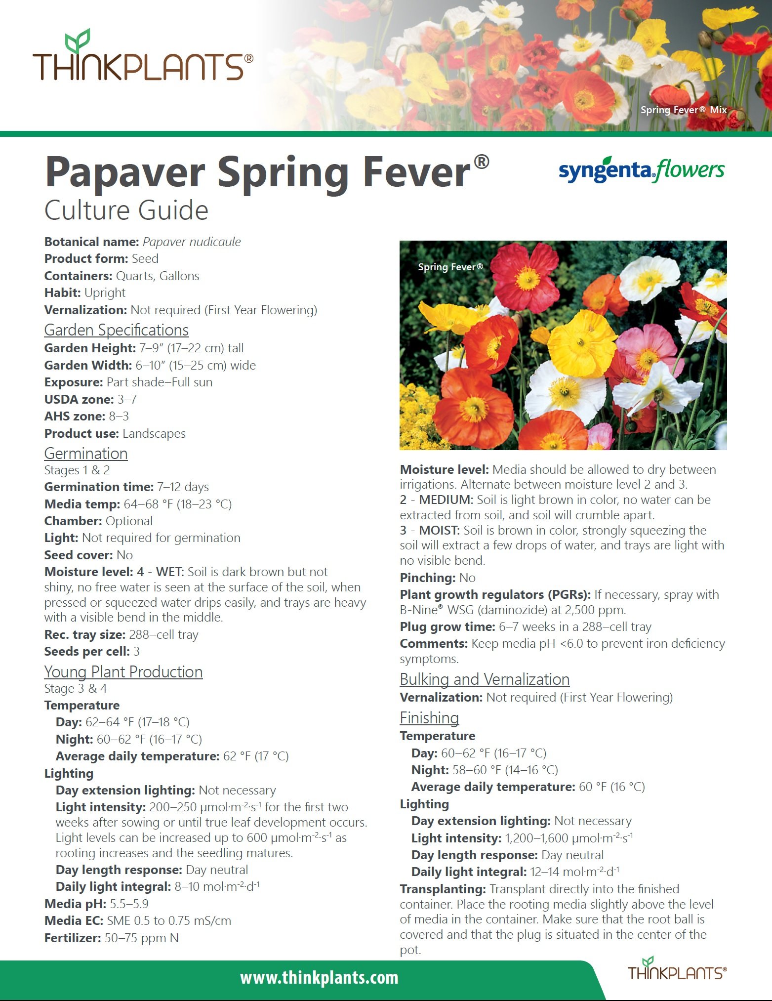 Papaver Spring Fever™