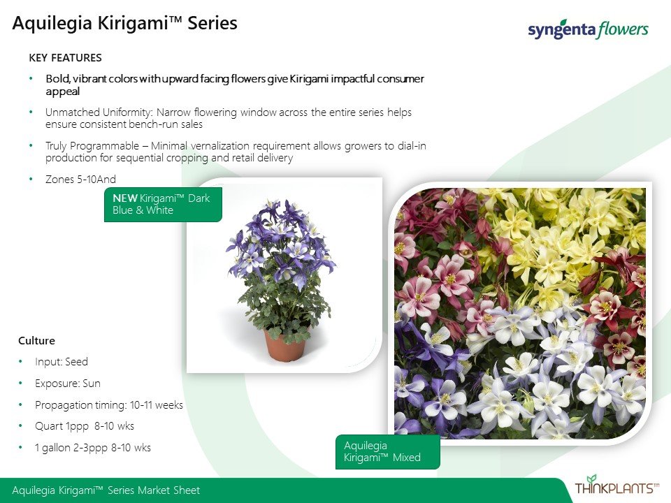 Aguilegia Kirigami™ Series