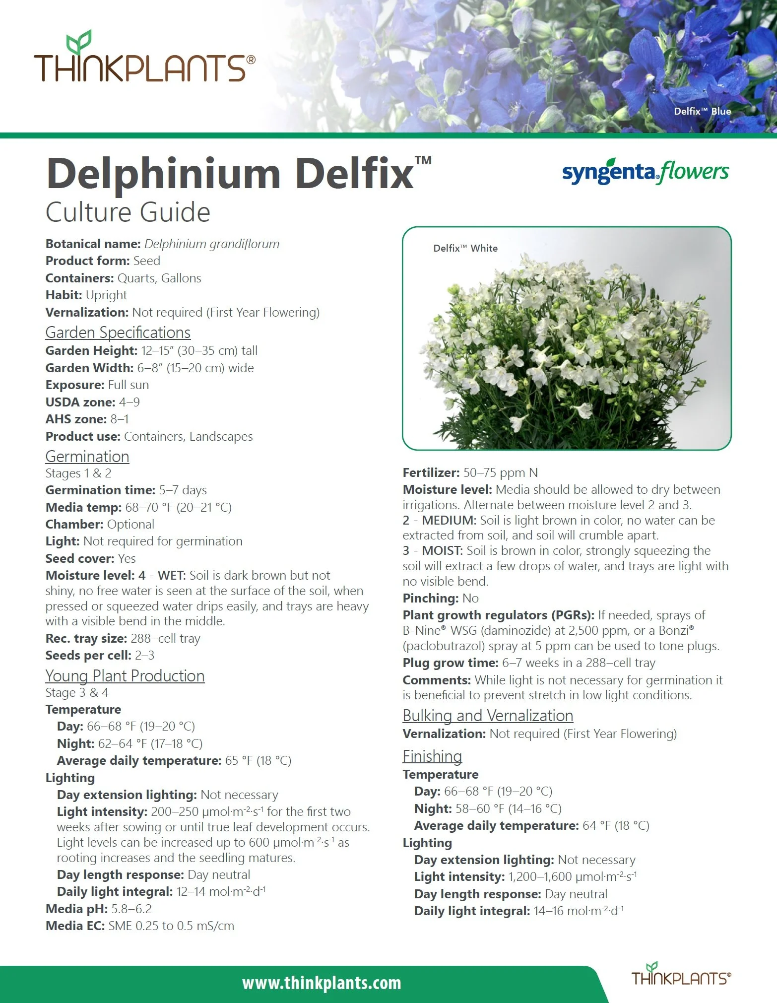 Delphinium Delfix™