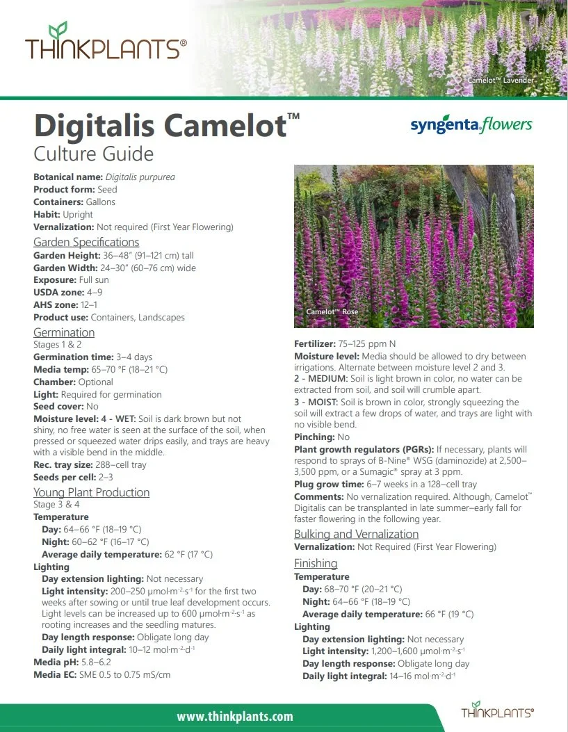 Digitalis Camelot™