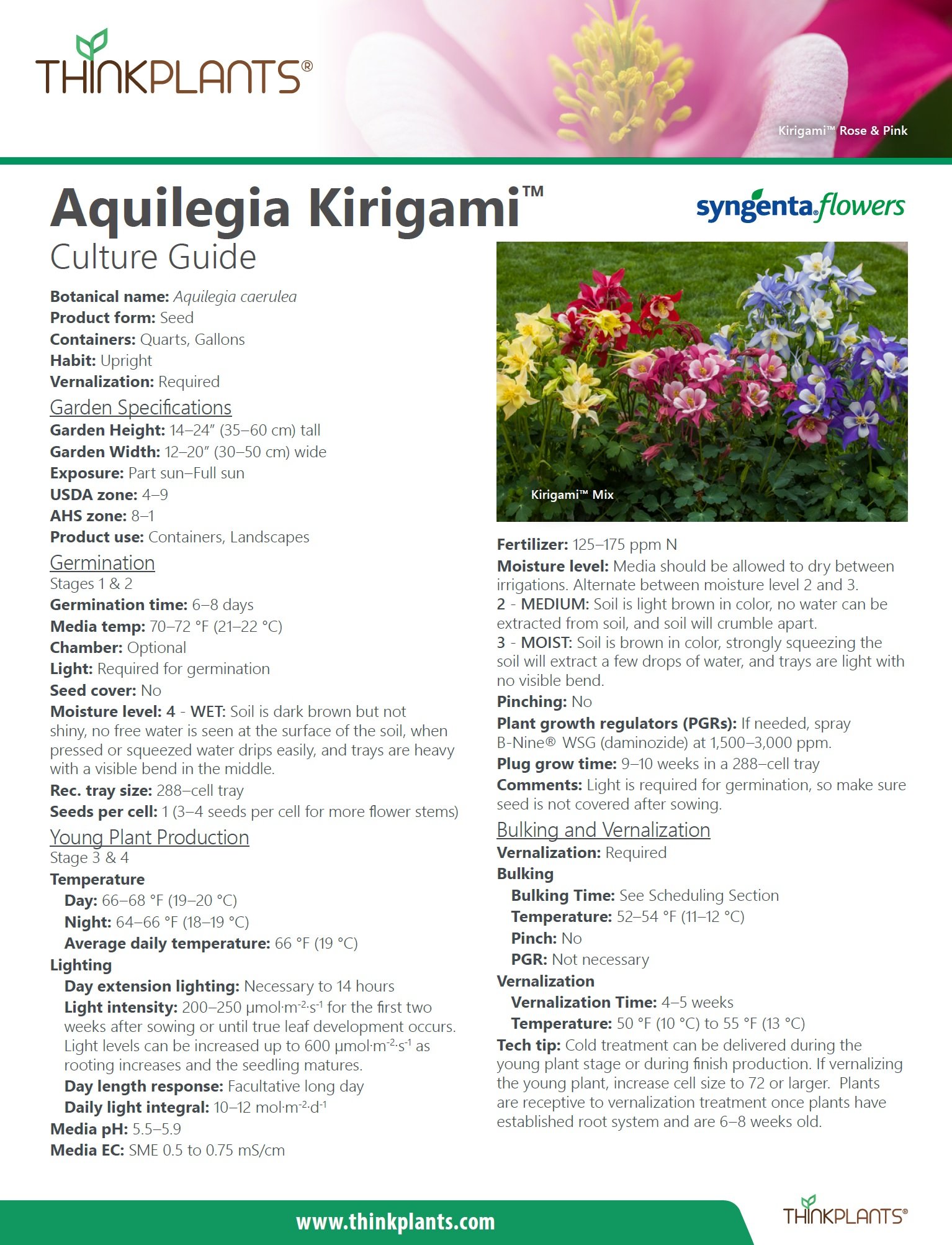 Agastache Kirigami™ Series