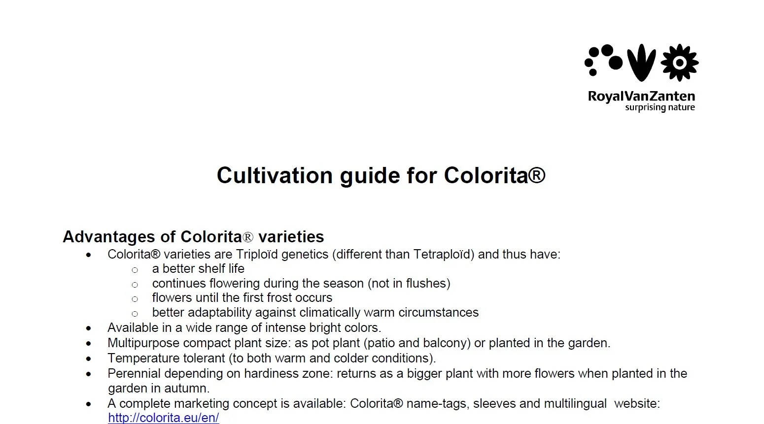 Alstroemeria Colorita® Cultivation-50 cell