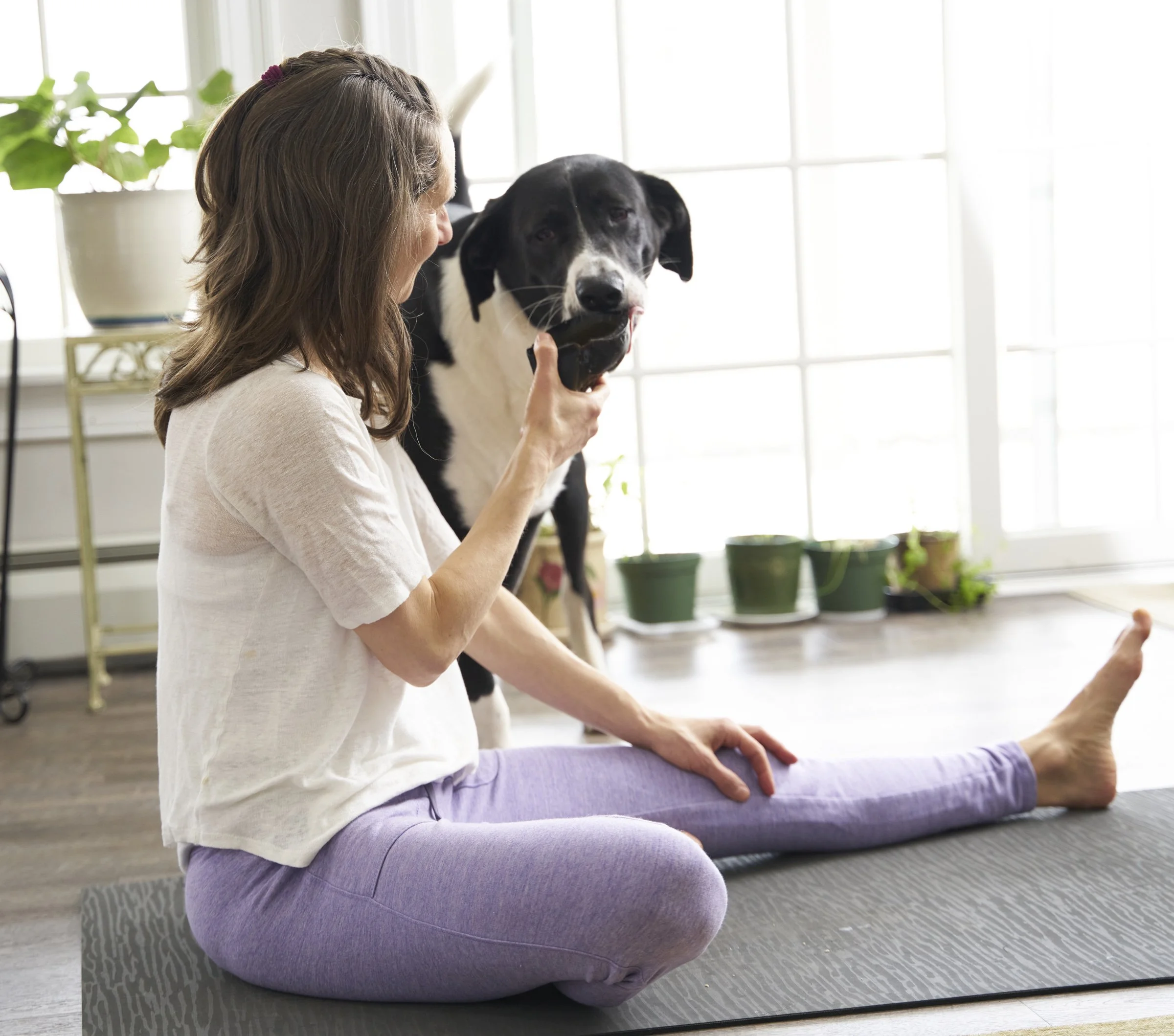 Image shows Sharon, a white human wearing cream and lilac, sitting on the floor holding a chew for Muggins, a large black-and-white floppy-eared dog who stands at Sharon's side.
