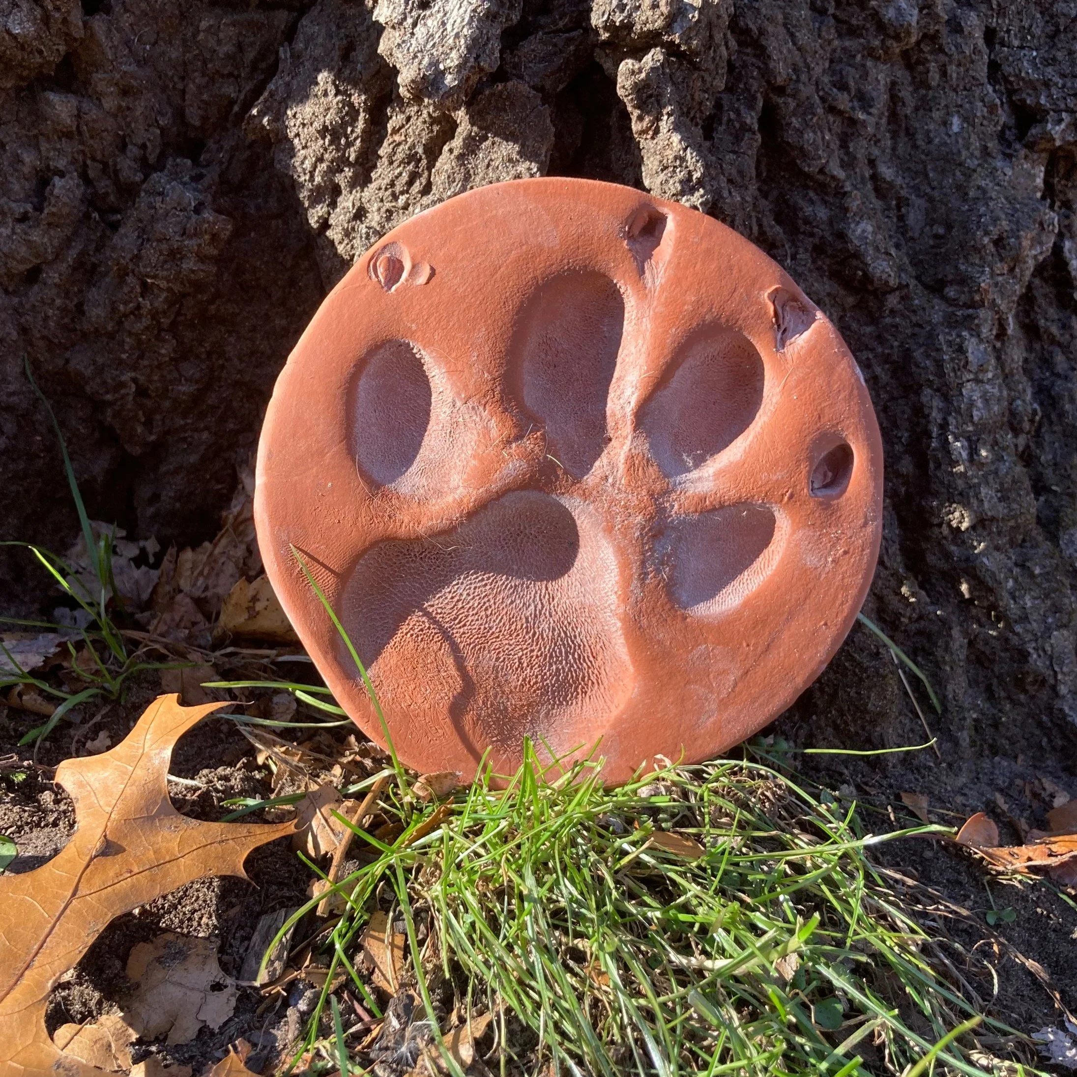 Image shows the base of a tree trunk with grass and fall leaves on the ground. Resting on a bed of green grass, a terra cotta paw print of a lost love sits in the sunshine.
