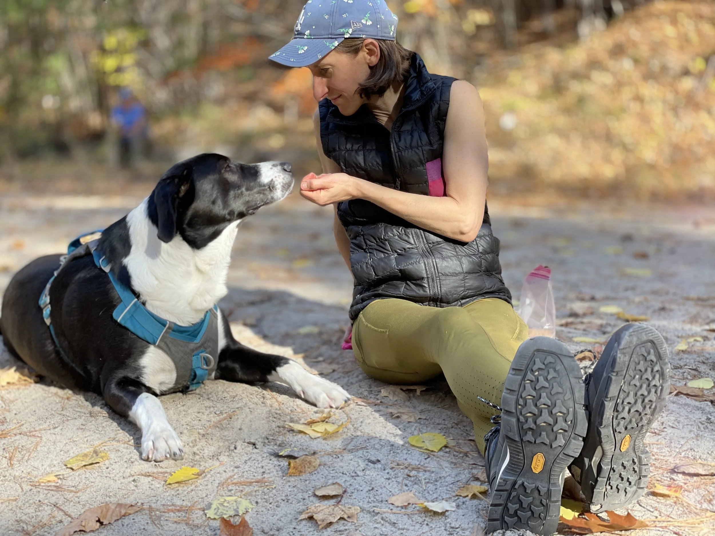 Image shows a white human wearing a black vest, boots, and blue ball cap sitting on the ground next to a large black-and-white dog. The two look at each other as the human hands the dog a treat.