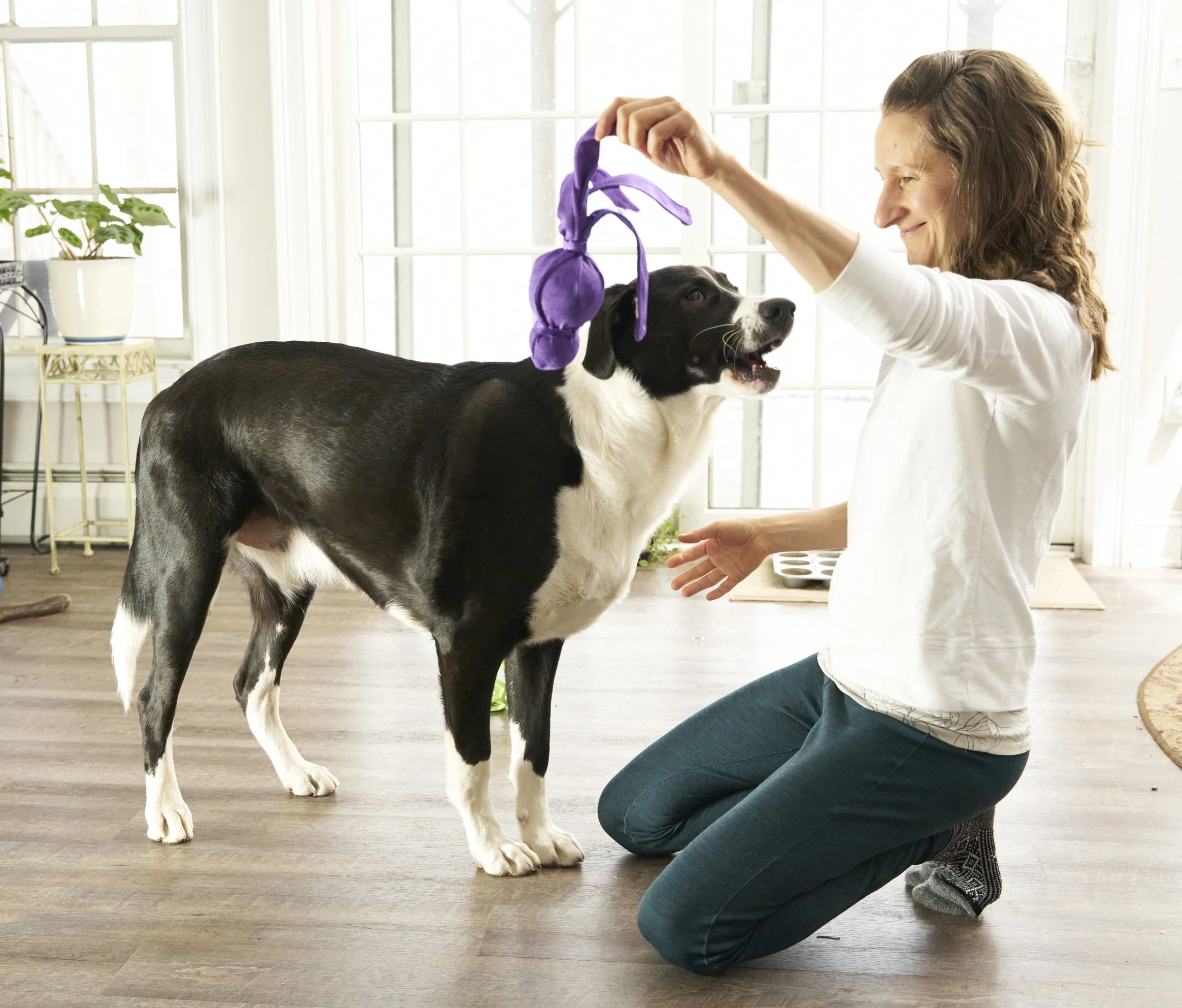 Image shows a human and dog captured during a game of "get the toy".