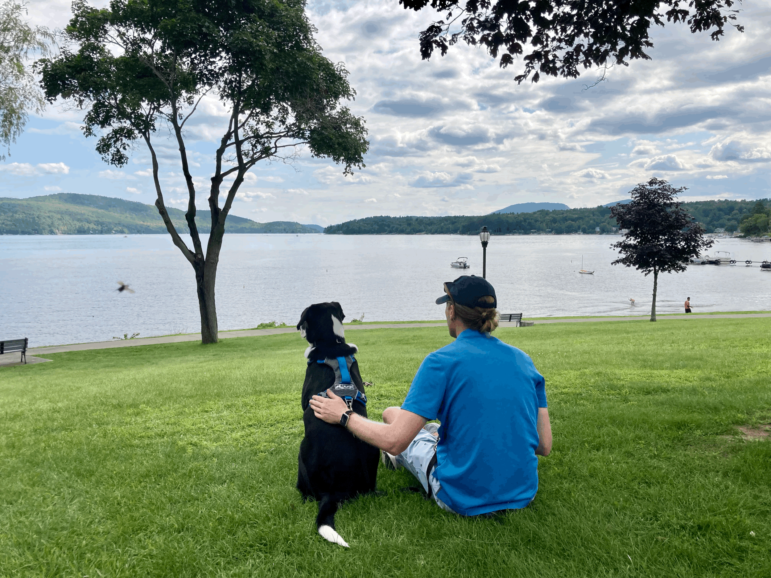 image shows a human and a dog sitting side-by-side in a grassy field overlooking an Adirondack lake. The human rests their hand on the back of the dog and the pair look out over the water. 