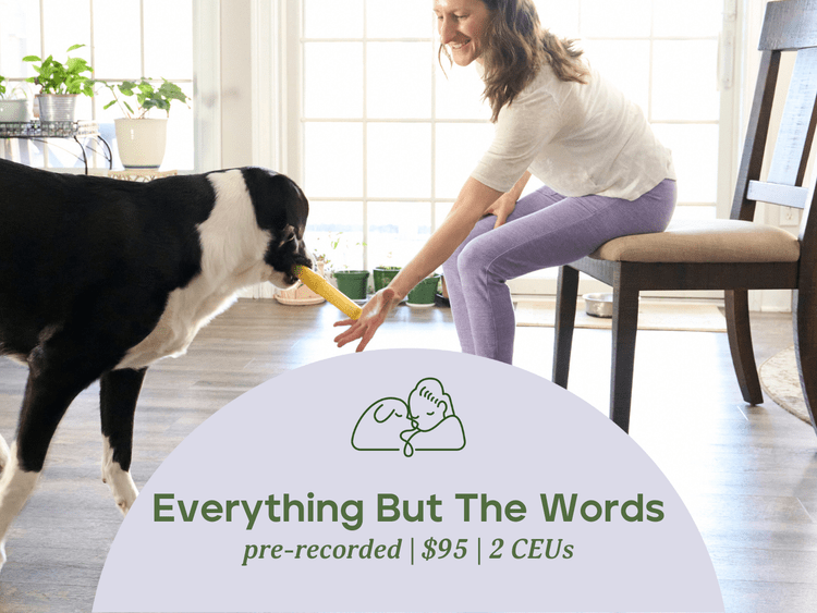 Image shows a white human seated and reaching for an object carried by a large black-and-white floppy eared dog. 
