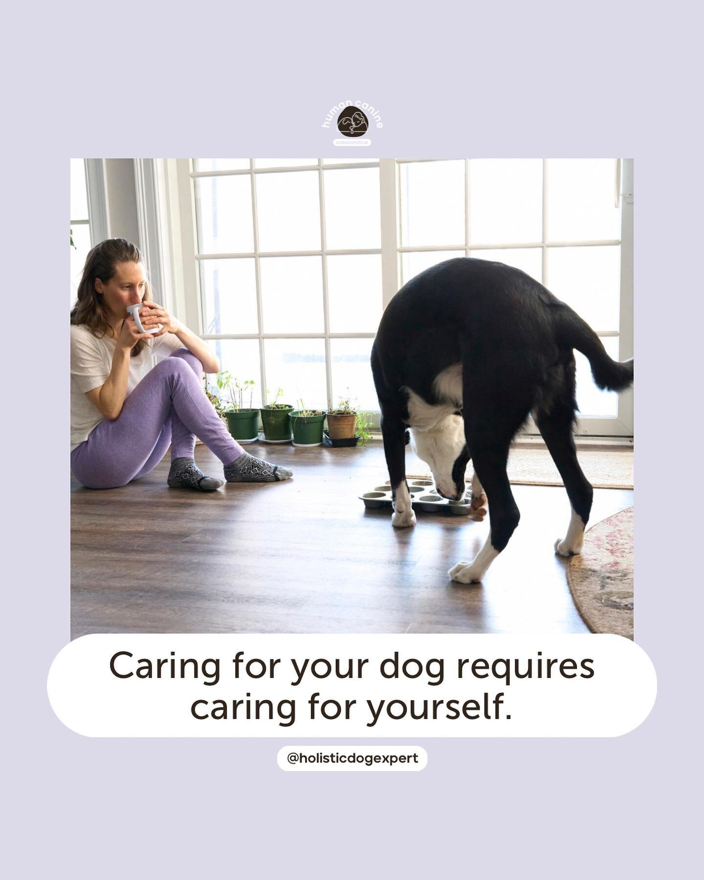 You&rsquo;ve heard the saying&hellip;&rdquo;you can&rsquo;t pour from an empty cup&rdquo;&hellip;and that means that you need to be cared for in order to provide care to others! This applies to all kinds of caregiving, including caring for our dogs, 