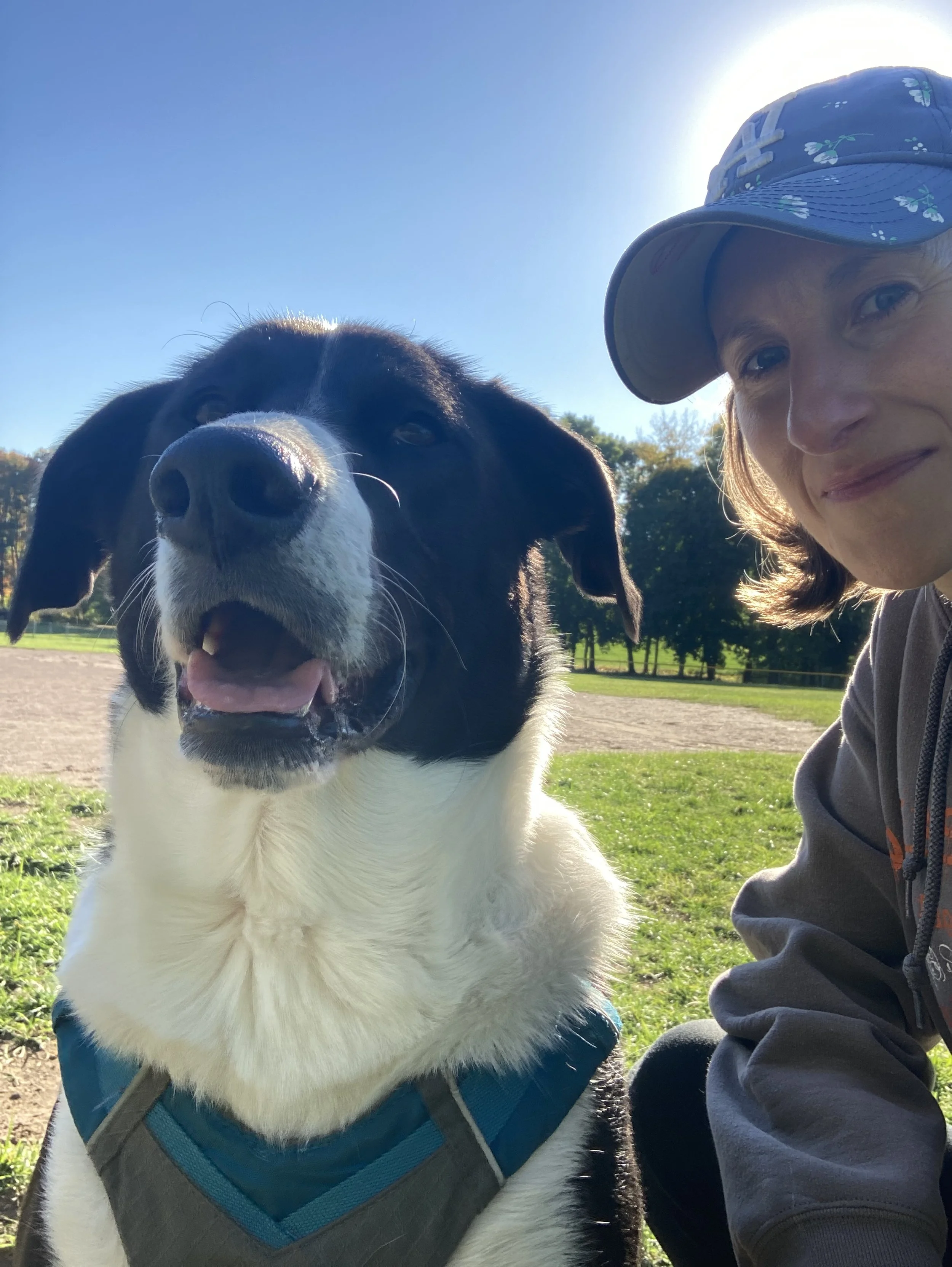 Image shows Sharon, a white human wearing blue LA Dodgers cap, and Muggins, a large black-and-white dog smiling in the sunshine at a park.