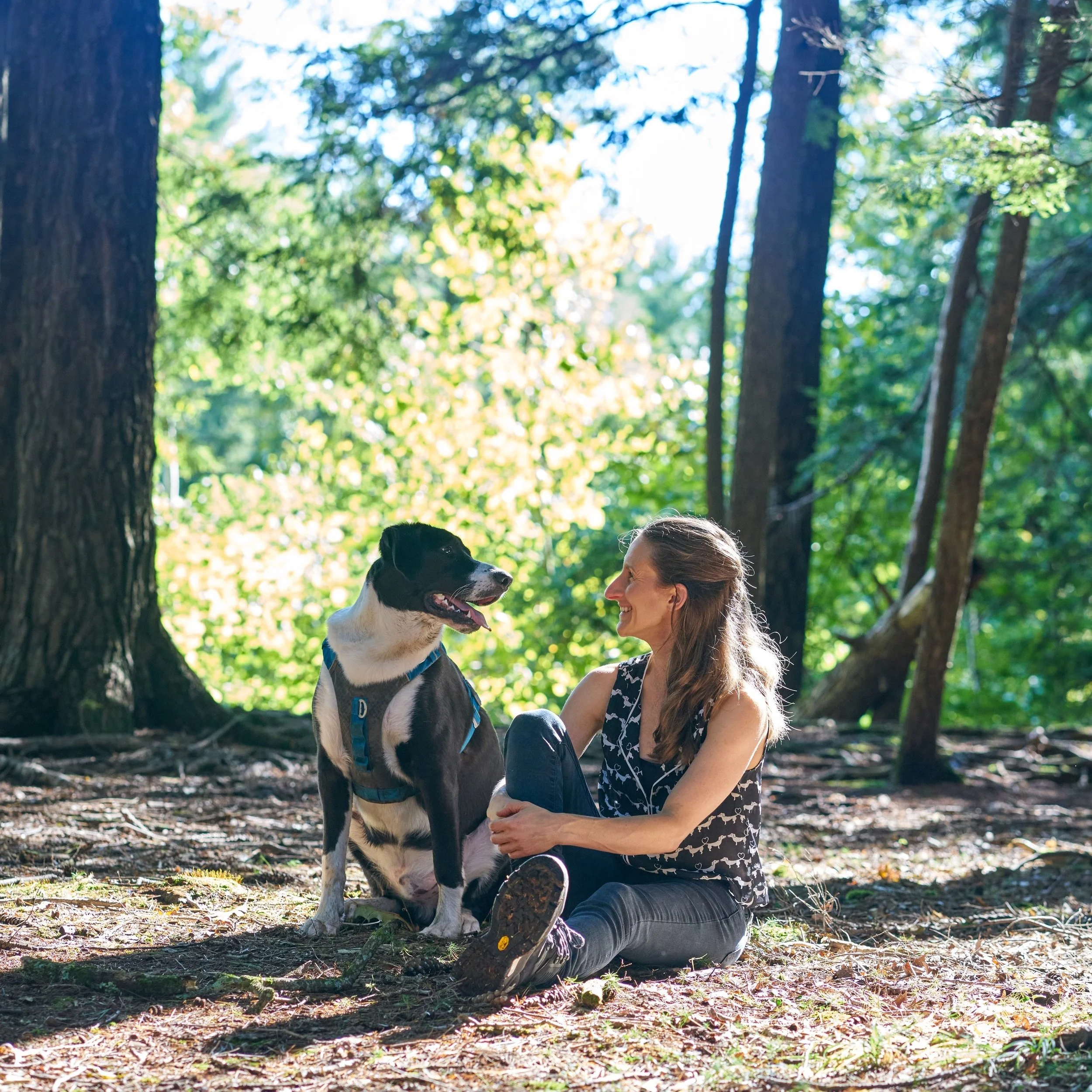 A white human sits in a sun dappled forest next to a large black-and-white dog. The two gaze into each other's eyes, smiling as if sharing an inside joke.