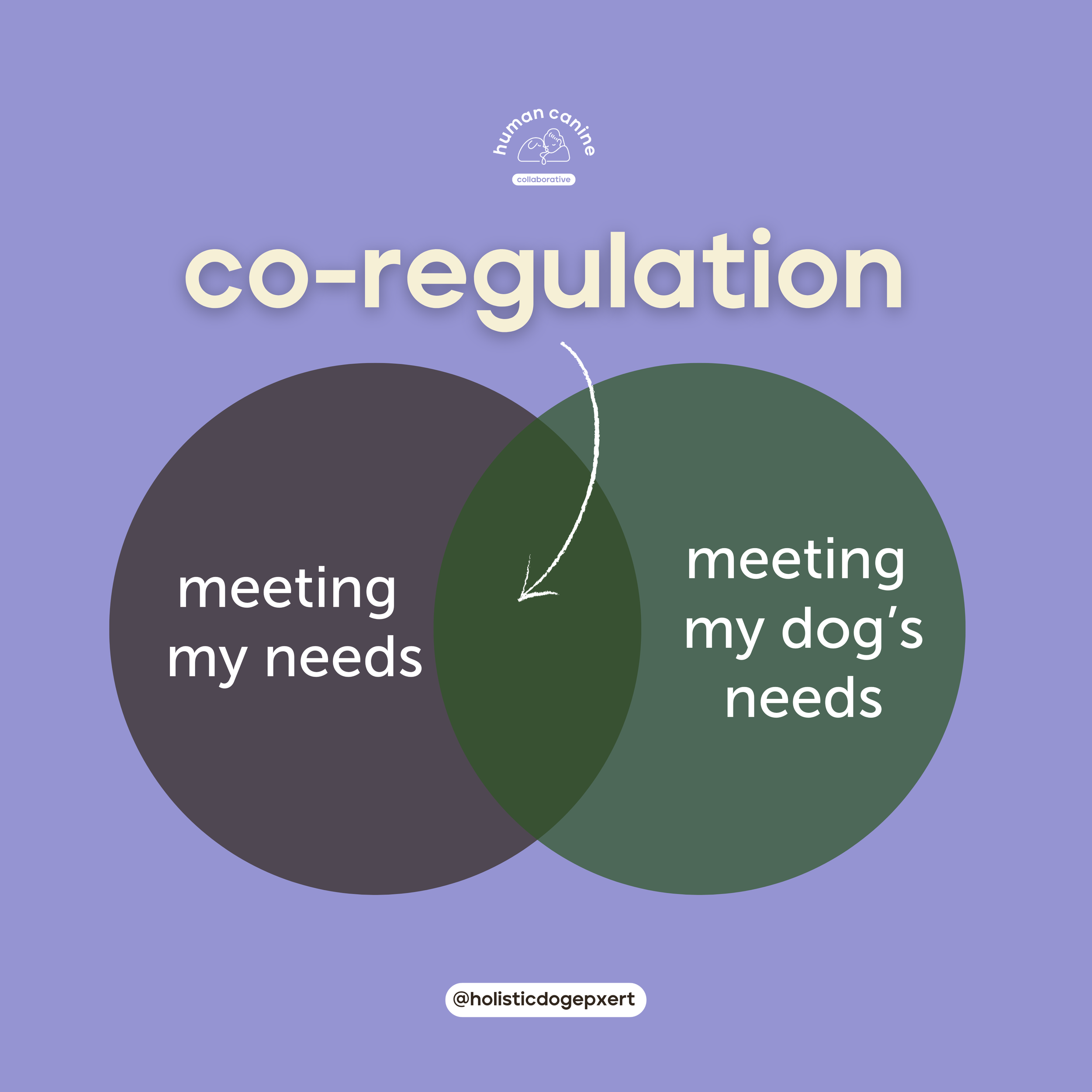 Co-Regulation Coaching — Human Canine Collaborative