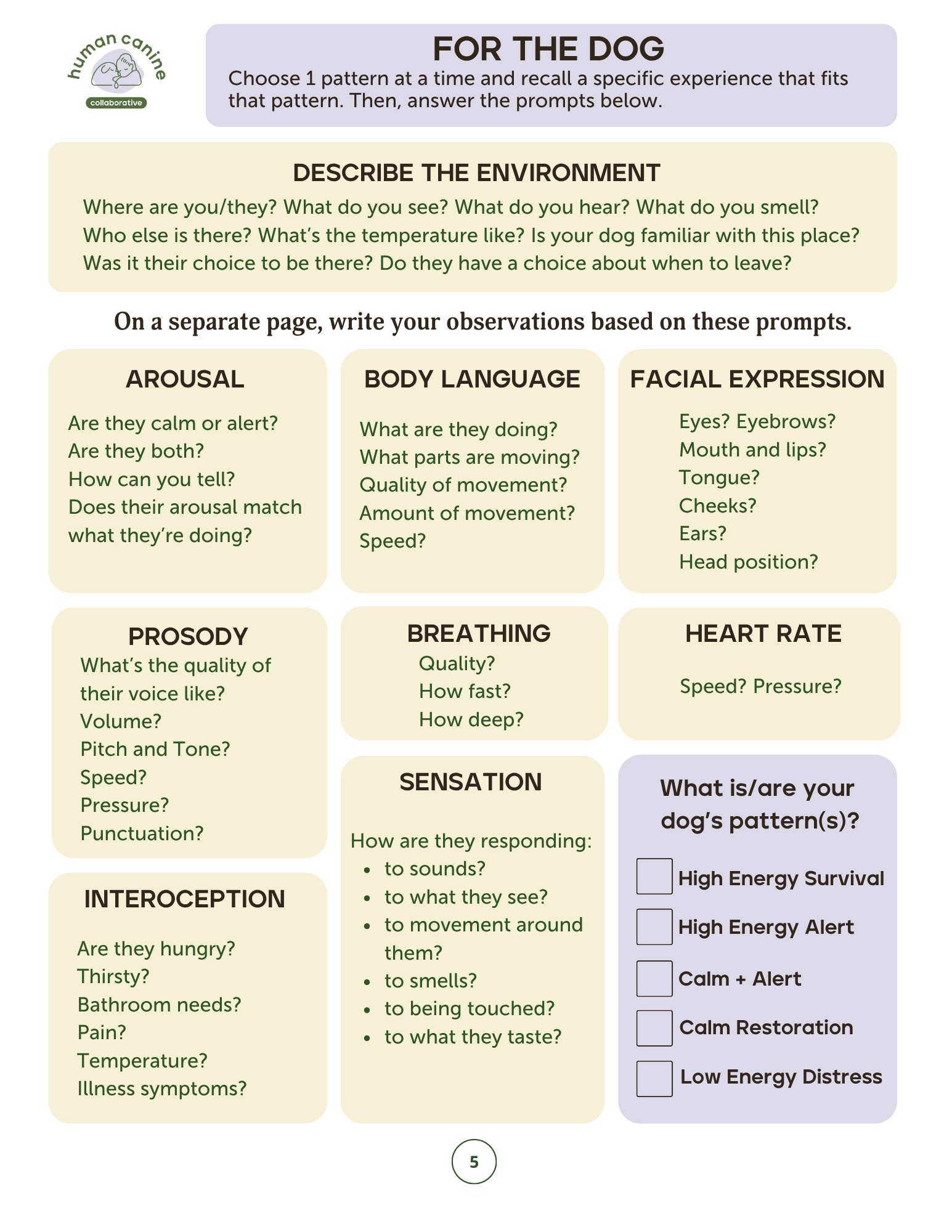 Image shows a worksheet for dog nervous system mapping with prompts for specific indicators of nervous system functioning. The worksheet is lilac, forest green, and cream.
