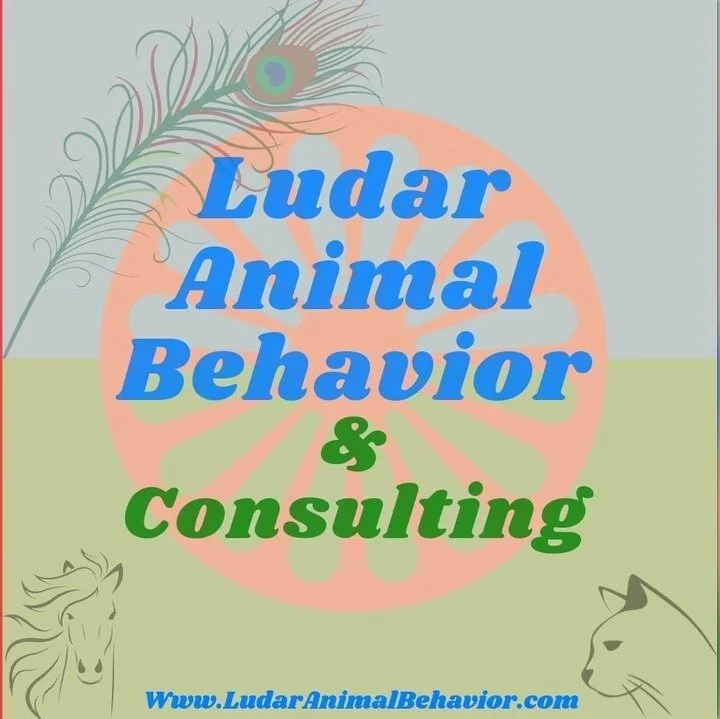 Image shows a Romani wheel in peach behind the words Ludar Animal Behavior & Consulting in blue and green. Light drawings of a feather, horse head, and cat head overlay corners upon faded grey-blue and green background.