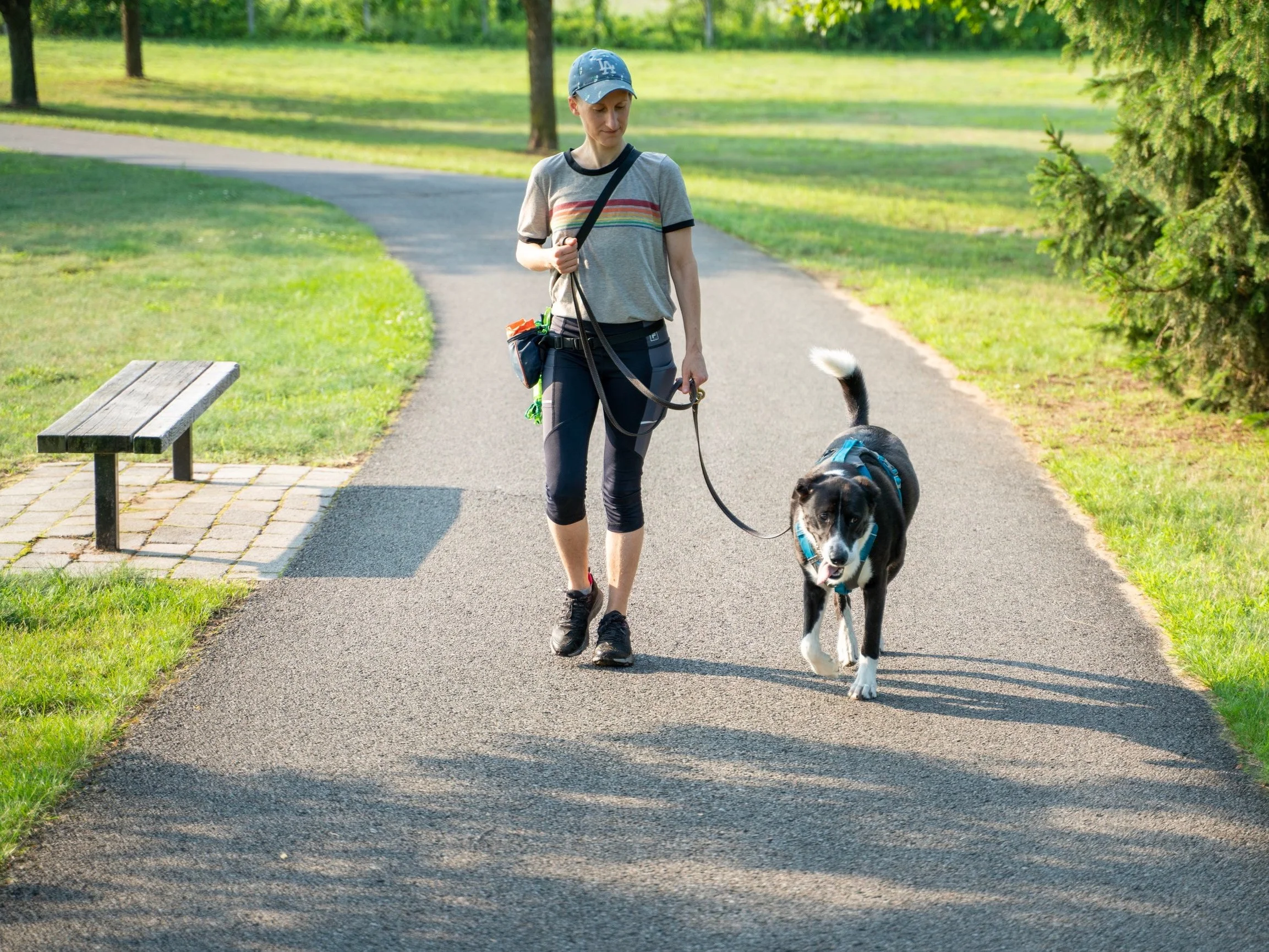Image shows a white human wearing blue cap with cross-shoulder treat pouch, walking next to black-and-white dog on sunlit park path in summer.