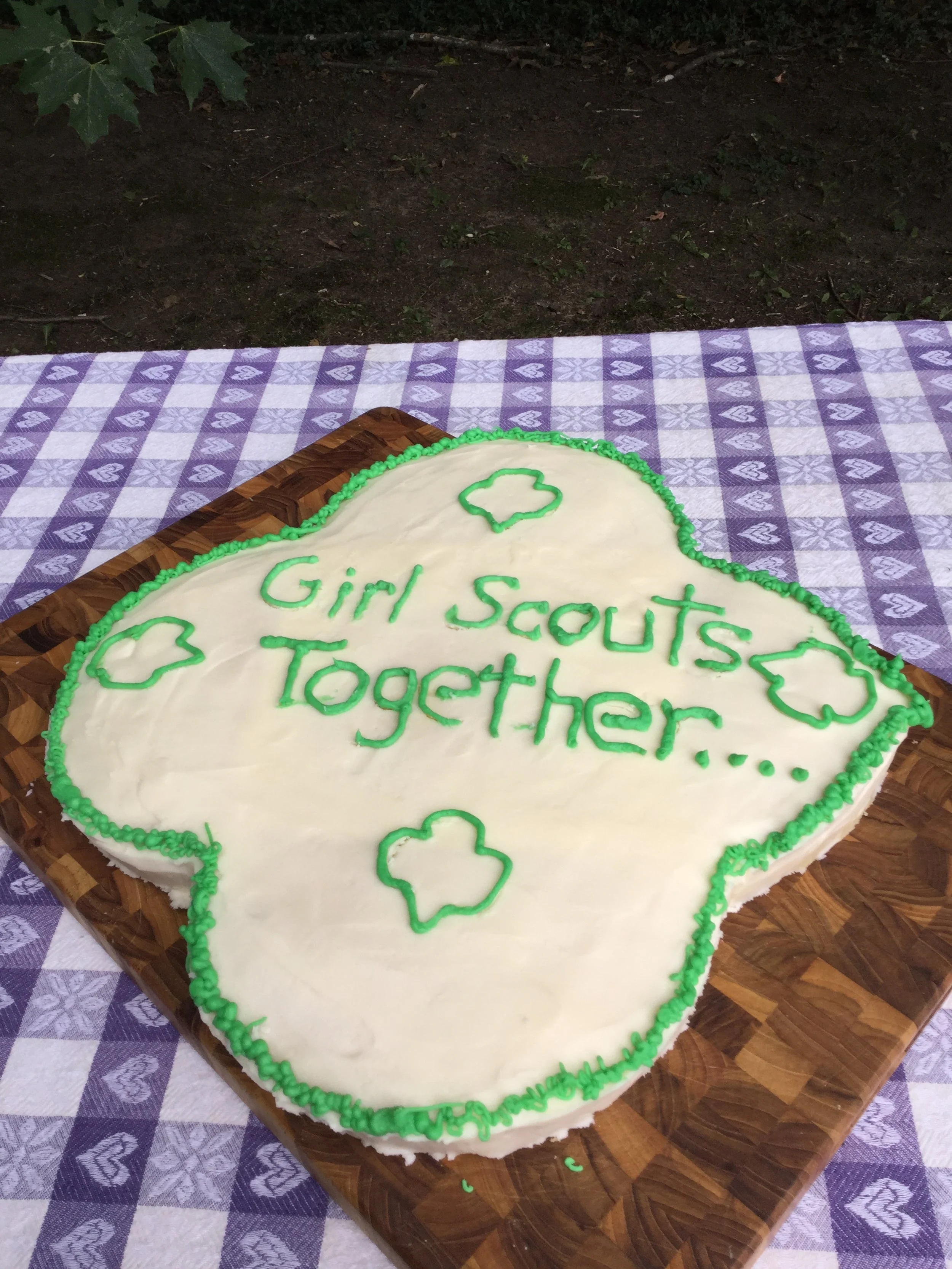 Girl Scout gathering