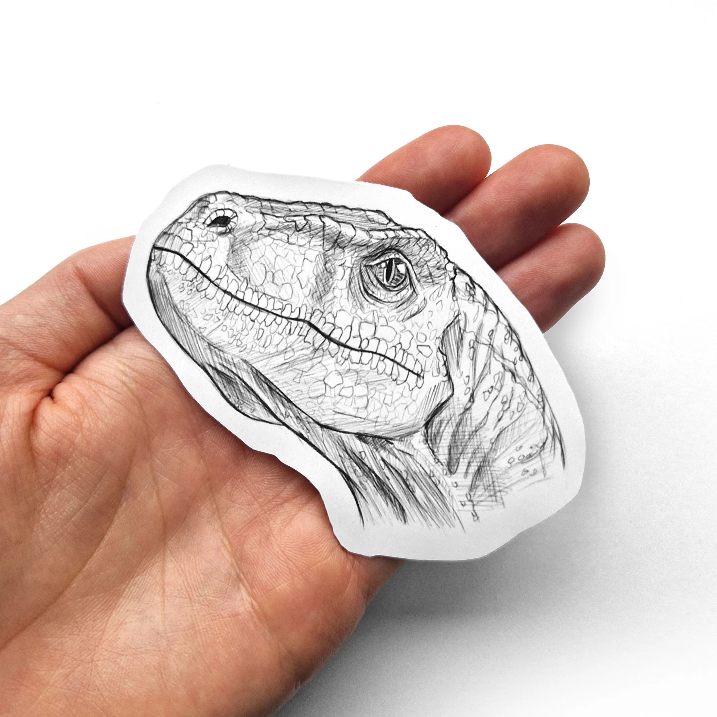 velociraptor sticker vinyl traditional pencil art stickers dinosaur decals carnivores utahraptor raptors Deinonychus balaur jurassic.jpg