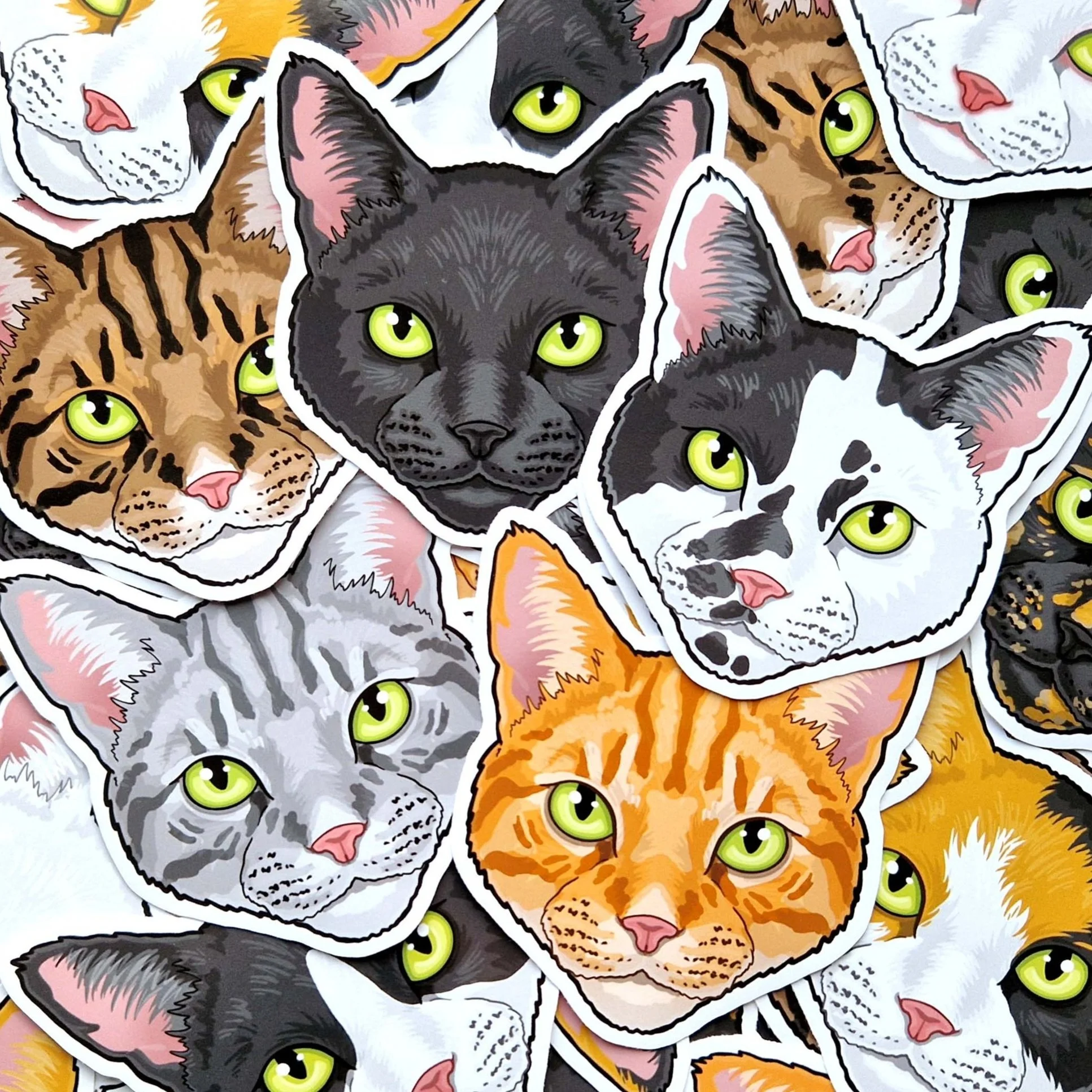 HOUSE CAT stickers