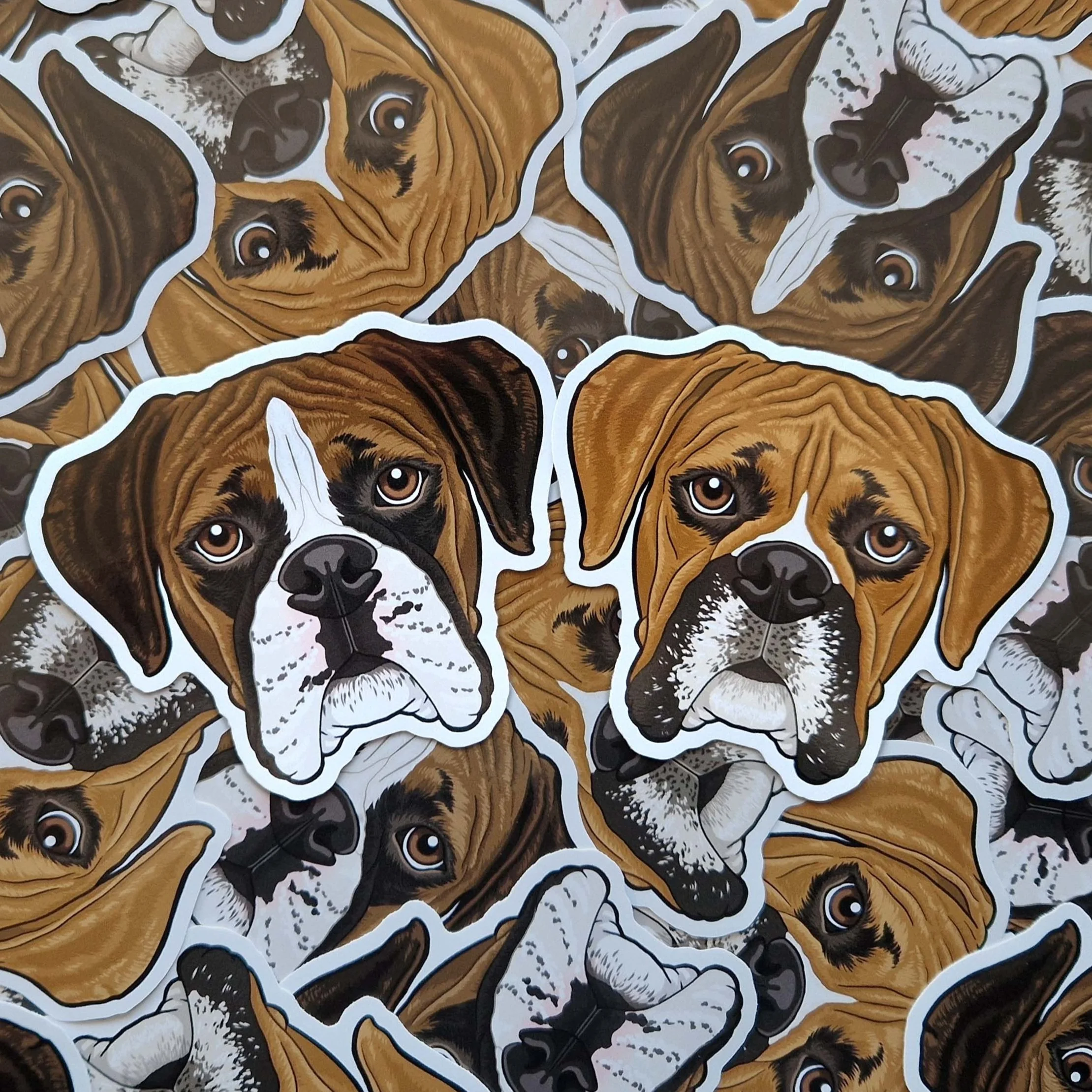 BOXER stickers