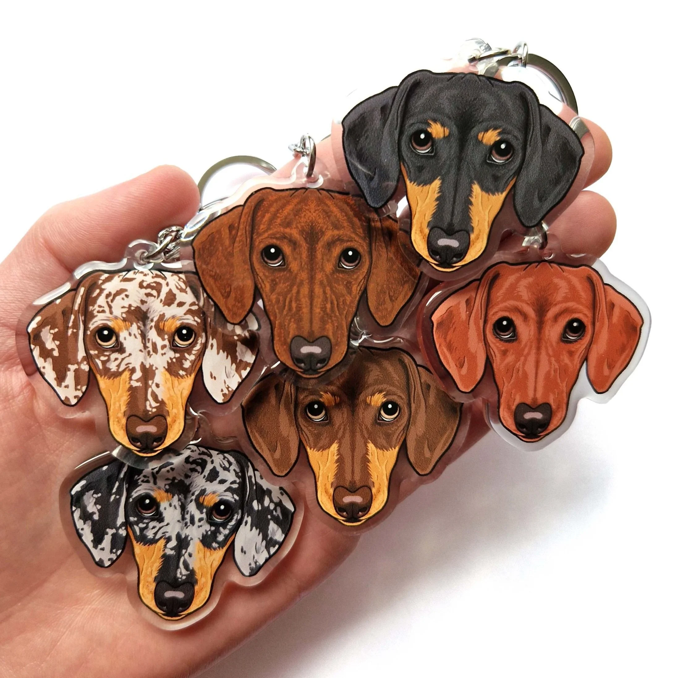 Short hair Dachshund keyring