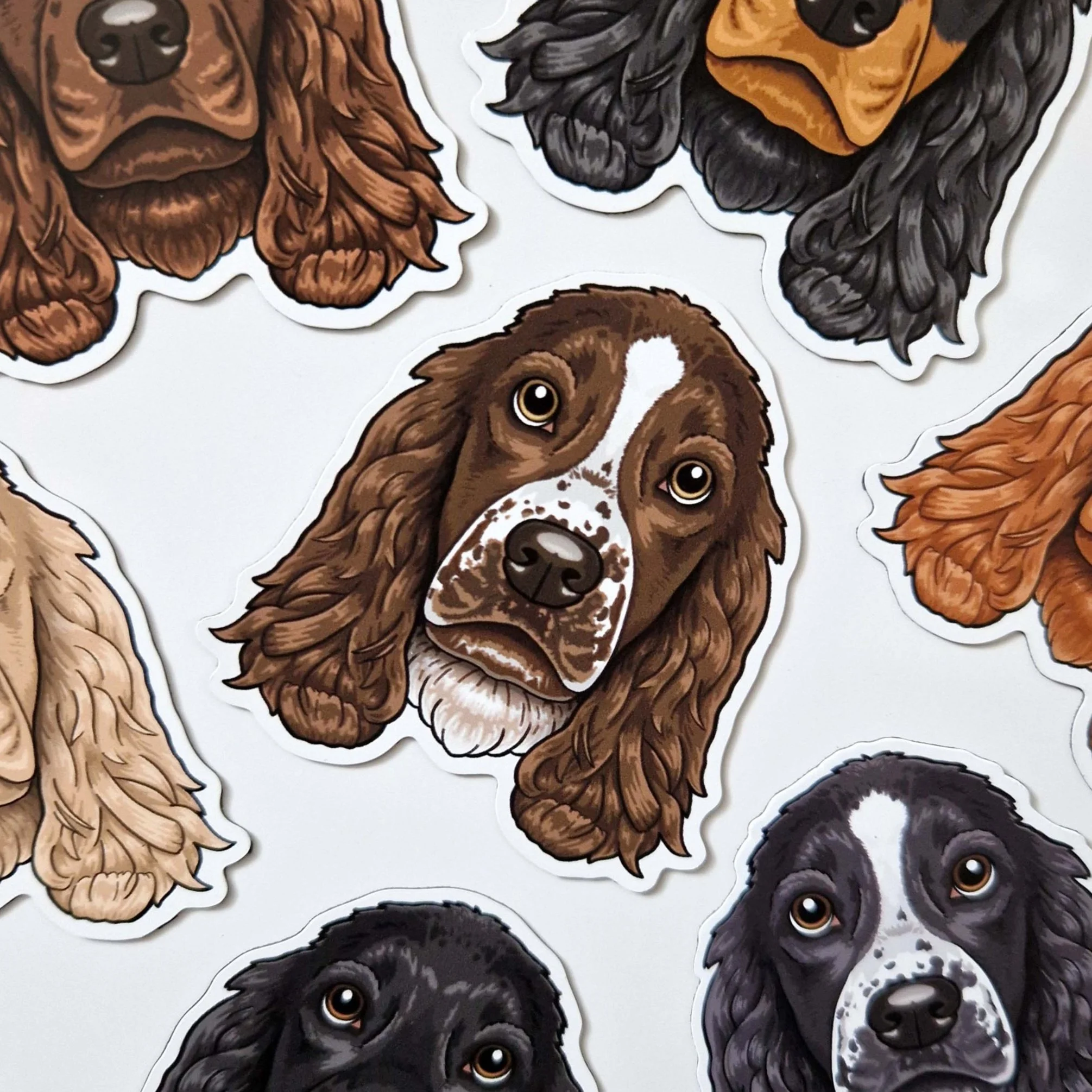 Spaniels MAGNET