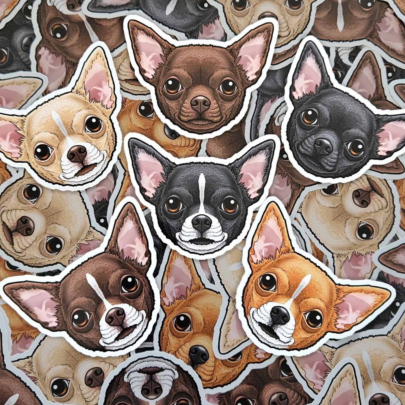 Chihuahuah short haired (apple head) stickers