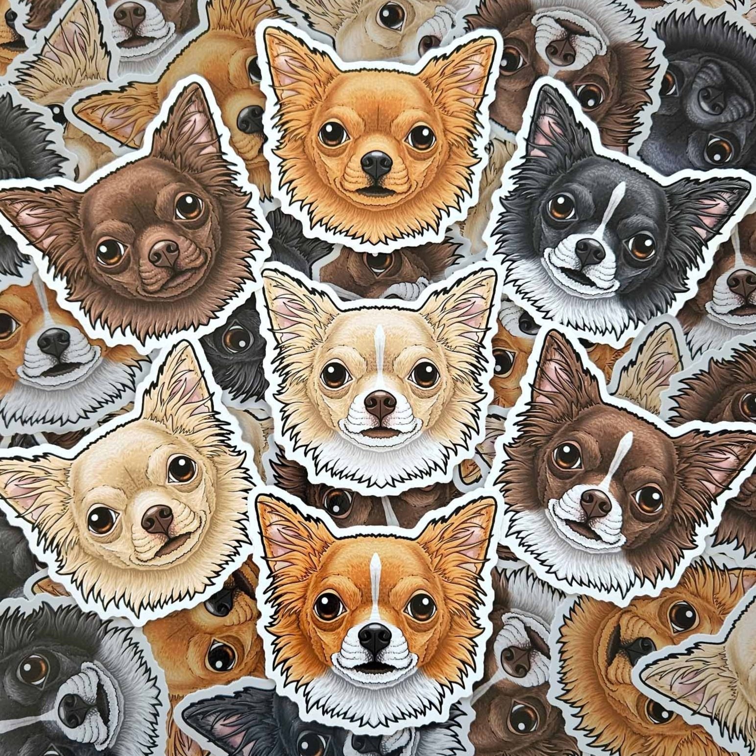 Chihuahuah long haired (apple head) stickers