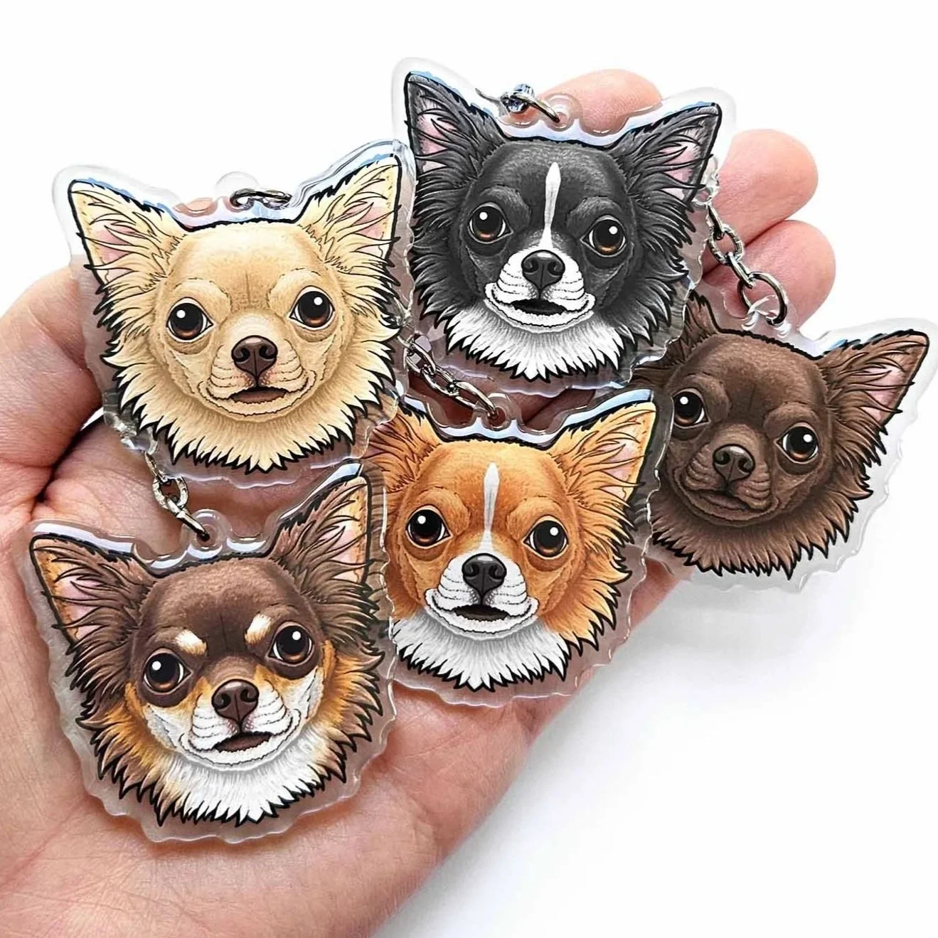 Long-Haired Apple Head Chihuahua eyrings / dog collar charms